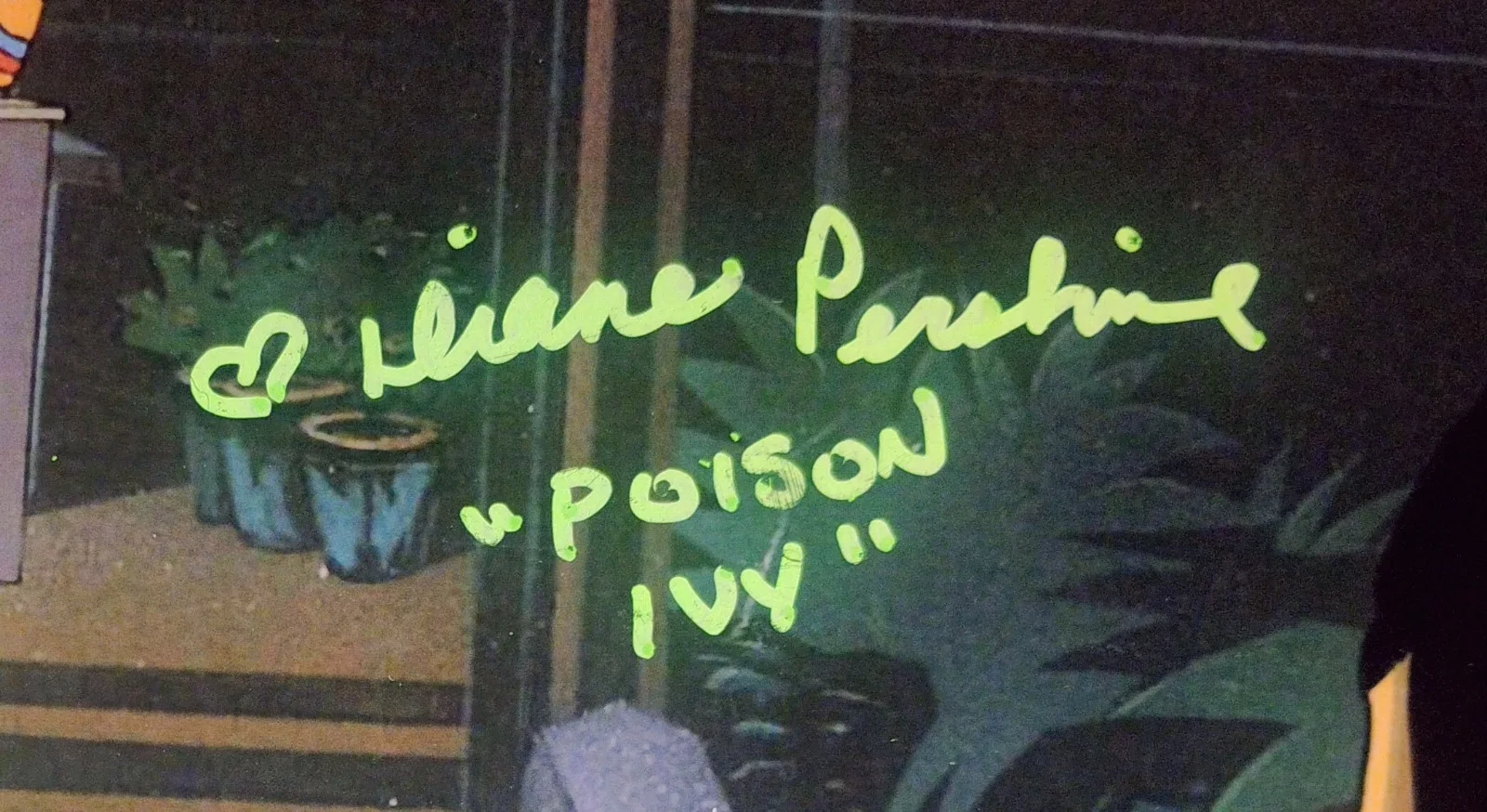Diane Pershing Hand Signed Autograph 8x10 Photo COA Poison Ivy, изображение 2