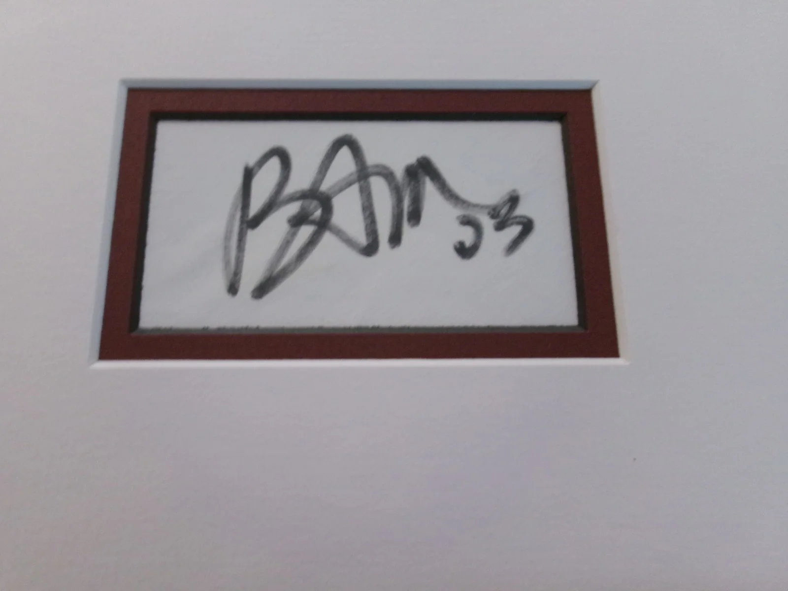 Bam Margera — Signed Bam Magera 7 x 5 Photo Double Matte 11 x 14 Frame Tru Vue Glass COA, изображение 3