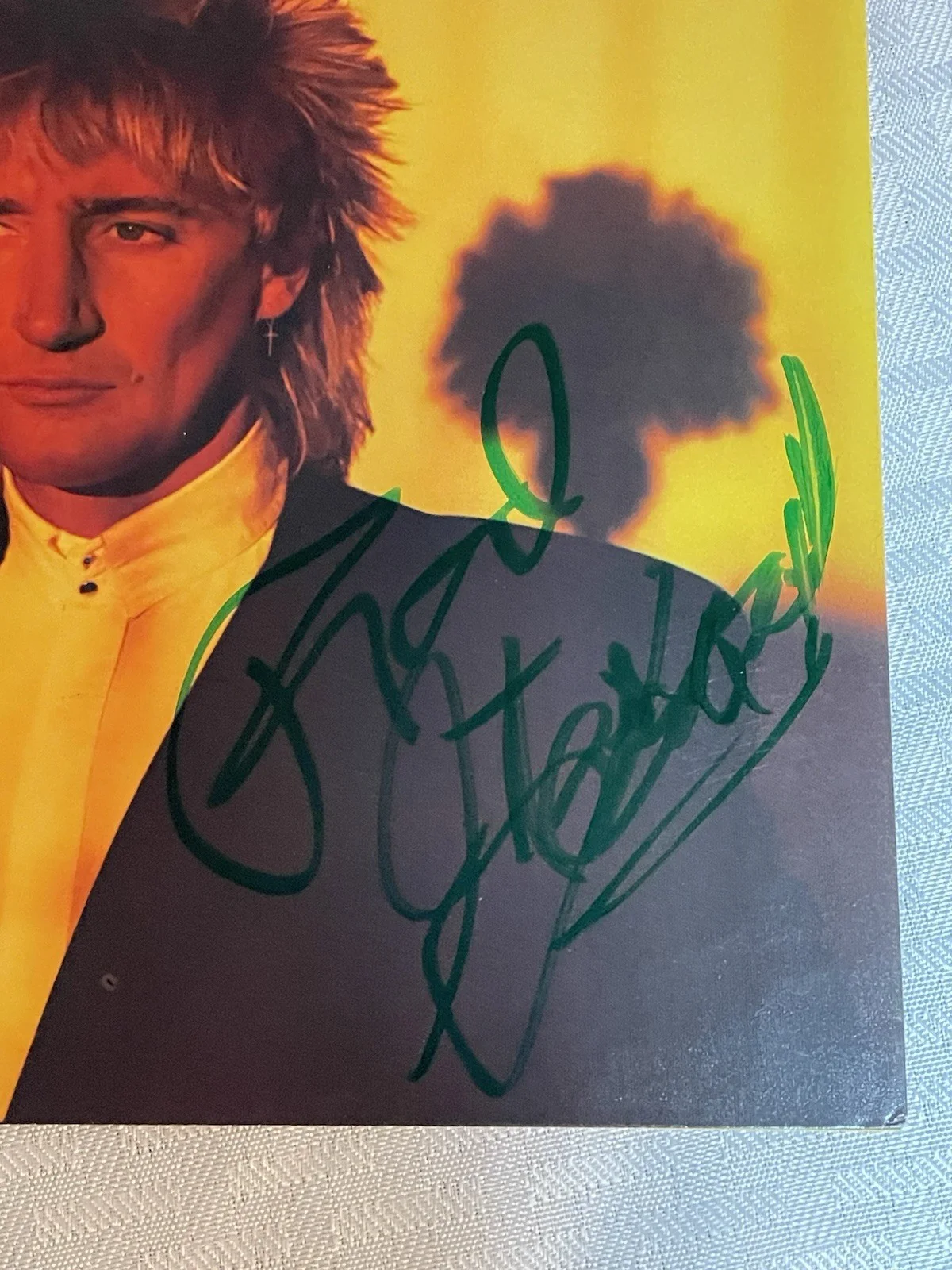 Rod Stewart, SIGNED," Young Turks " 45 Record Sleeve----- RARE----No COA, изображение 2