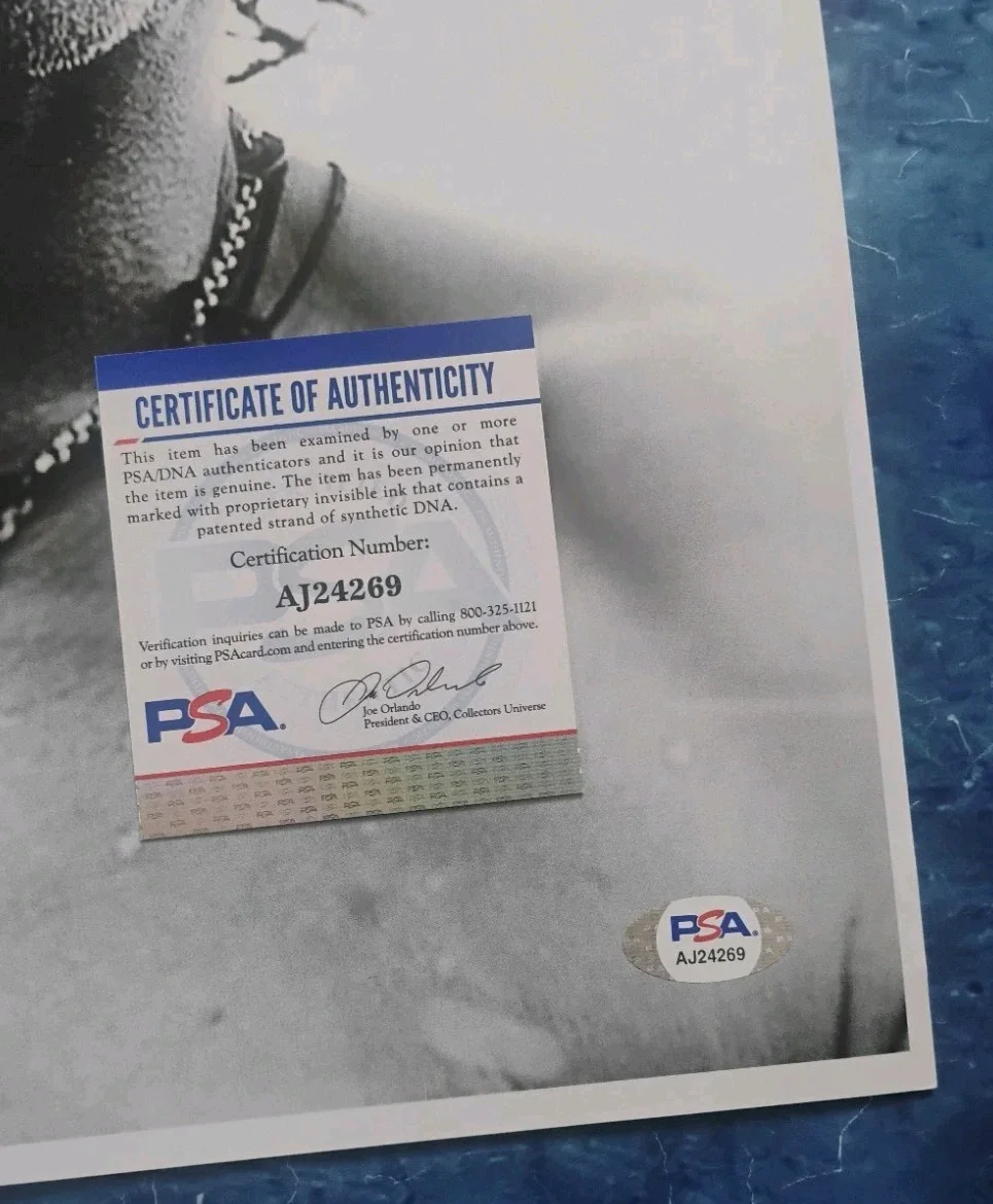 Gavin Rossdale Hand Signed Autograph 12x18 Photo PSA COA Bush NO US TARIFFS, изображение 4