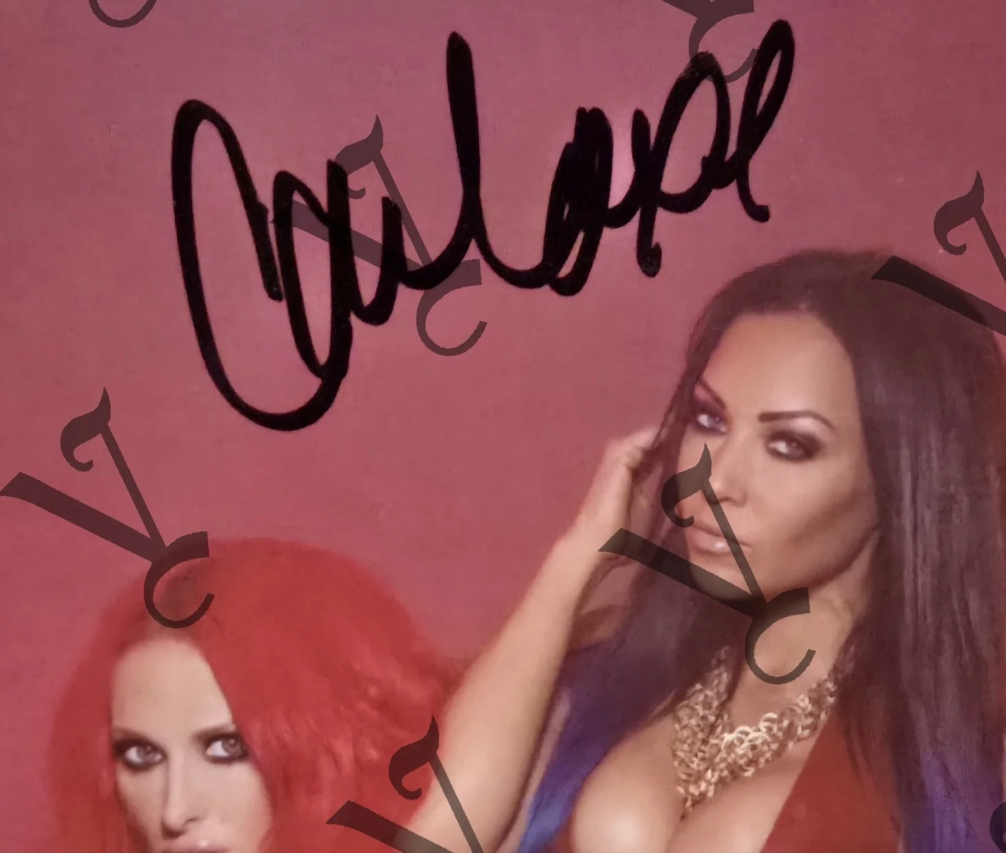 Butcher Babies Signed/Autographed 8x10 Photo(Sexy, Carla Harvey, Heidi Shepherd), изображение 2