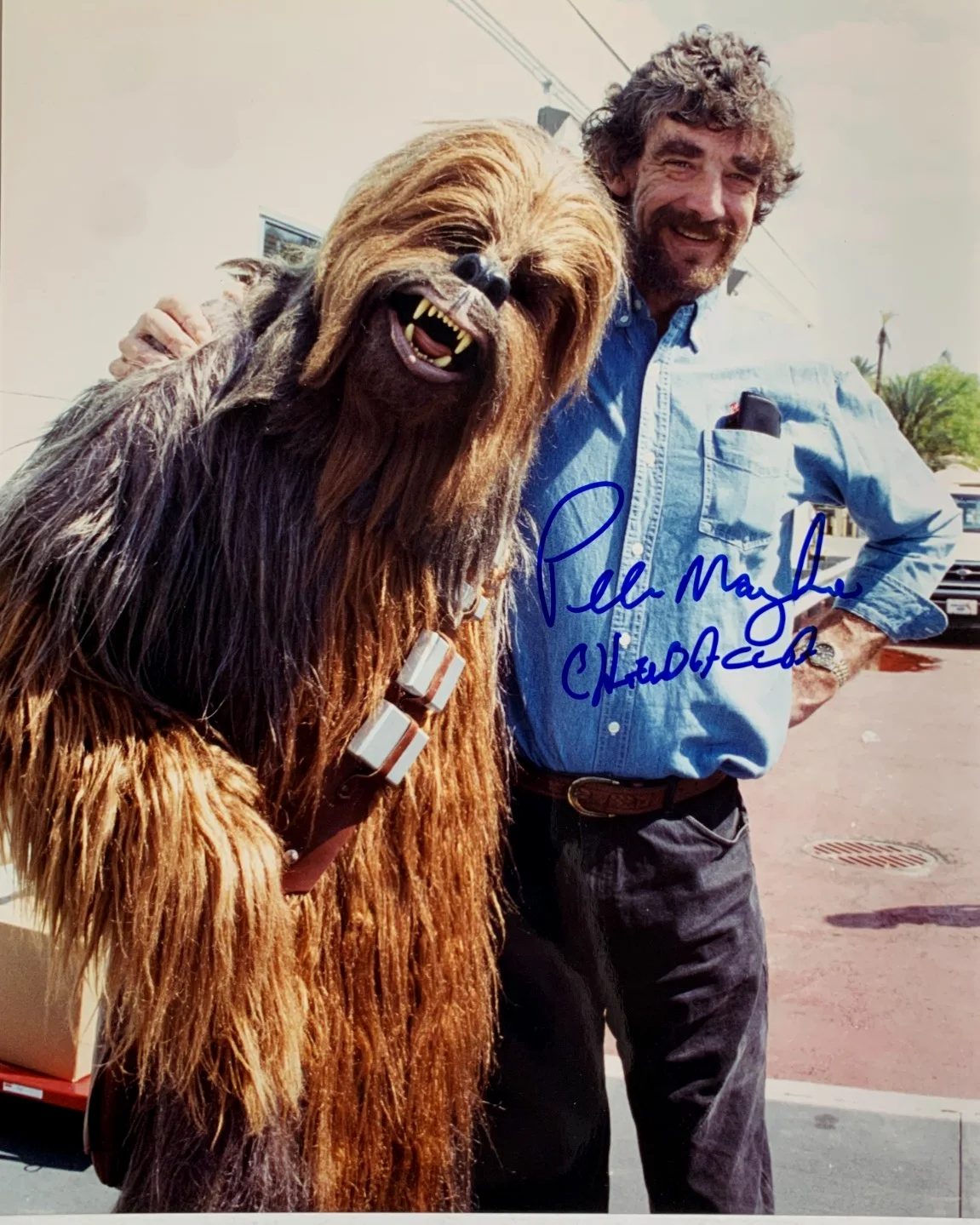Peter Mayhew — PETER MAYHEW "Chewbacca" signed photo, with COA, 8x10, Star Wars