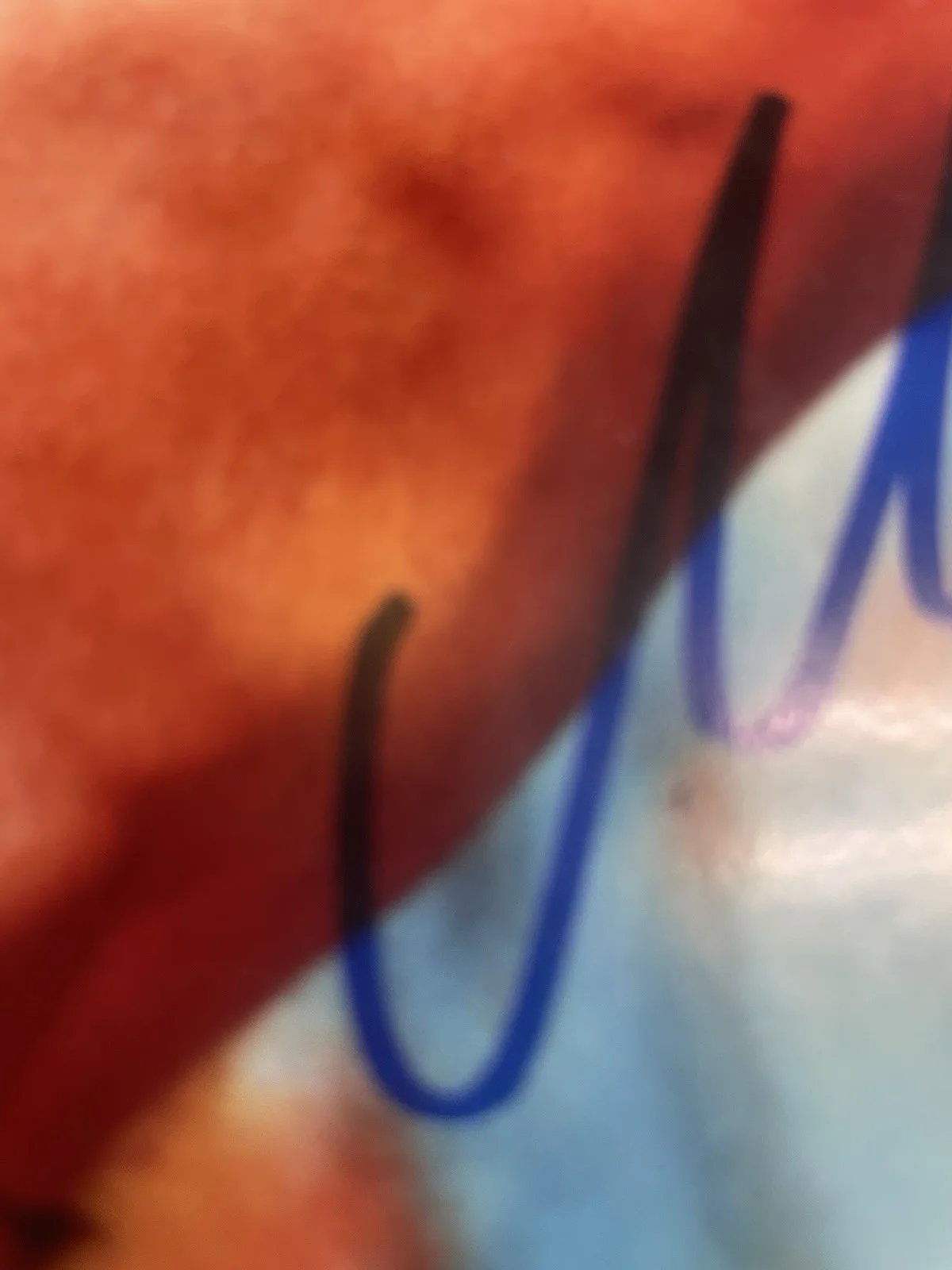 Rare Mick Jagger Signed Autographed 10X8, image 3