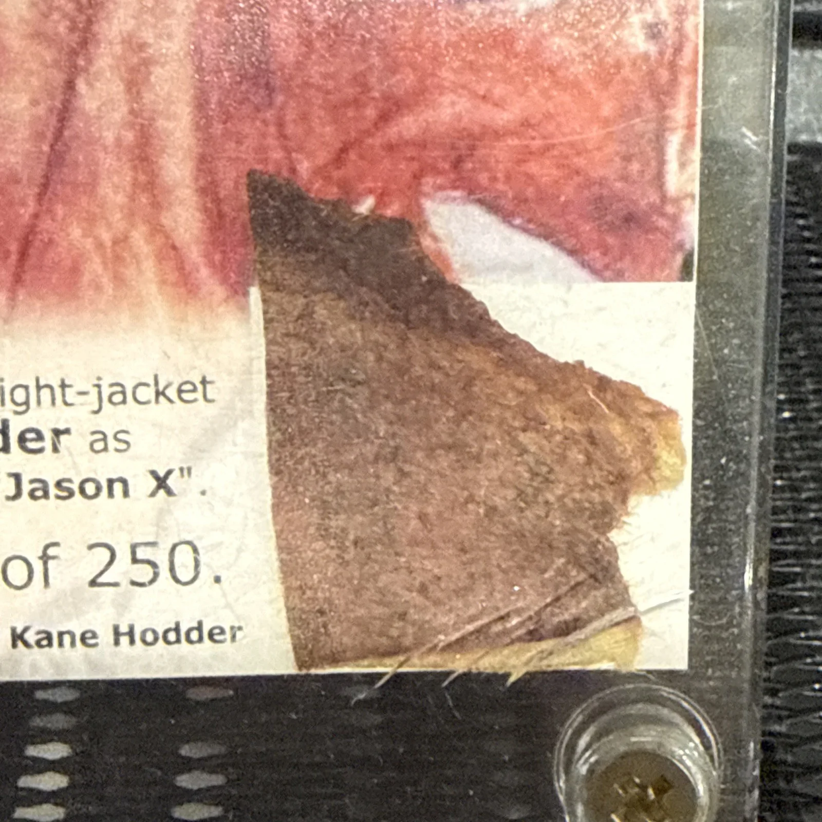 Jason X Kane Hodder Signed Piece Of Straight Jacket, image 3
