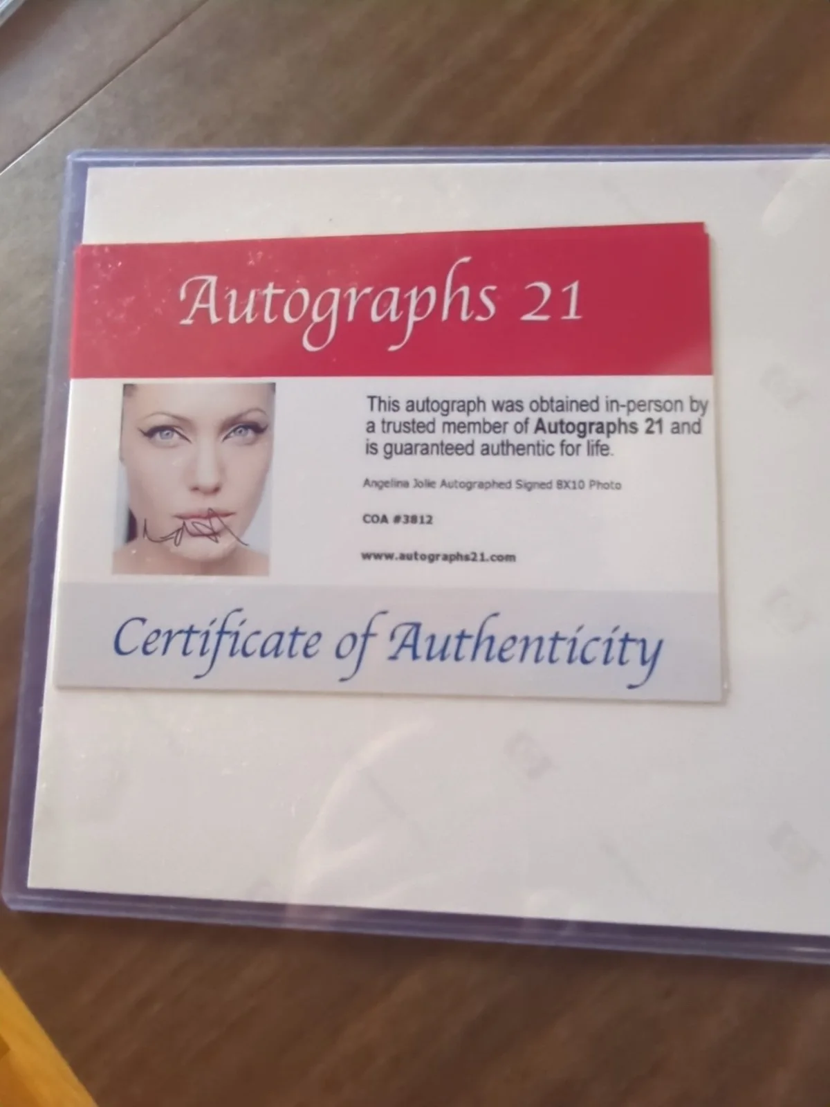 Angelina Jolie Autographed 8x10 Photo, image 5