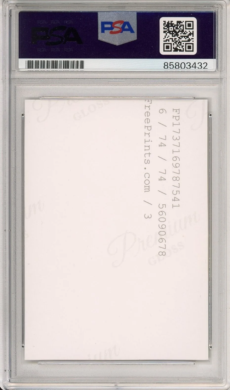 Rachel Zegler — RACHEL ZEGLER SIGNED SNOW WHITE & SEVEN DWARFS PHOTO PICTURE PSA DNA AUTOGRAPH, image 2