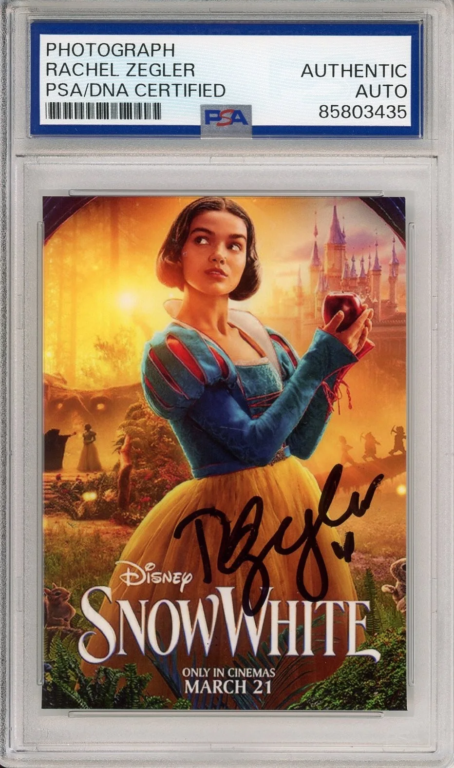 Rachel Zegler — RACHEL ZEGLER SIGNED SNOW WHITE DWARFS MOVIE PHOTOGRAPH PSA DNA COA AUTOGRAPH
