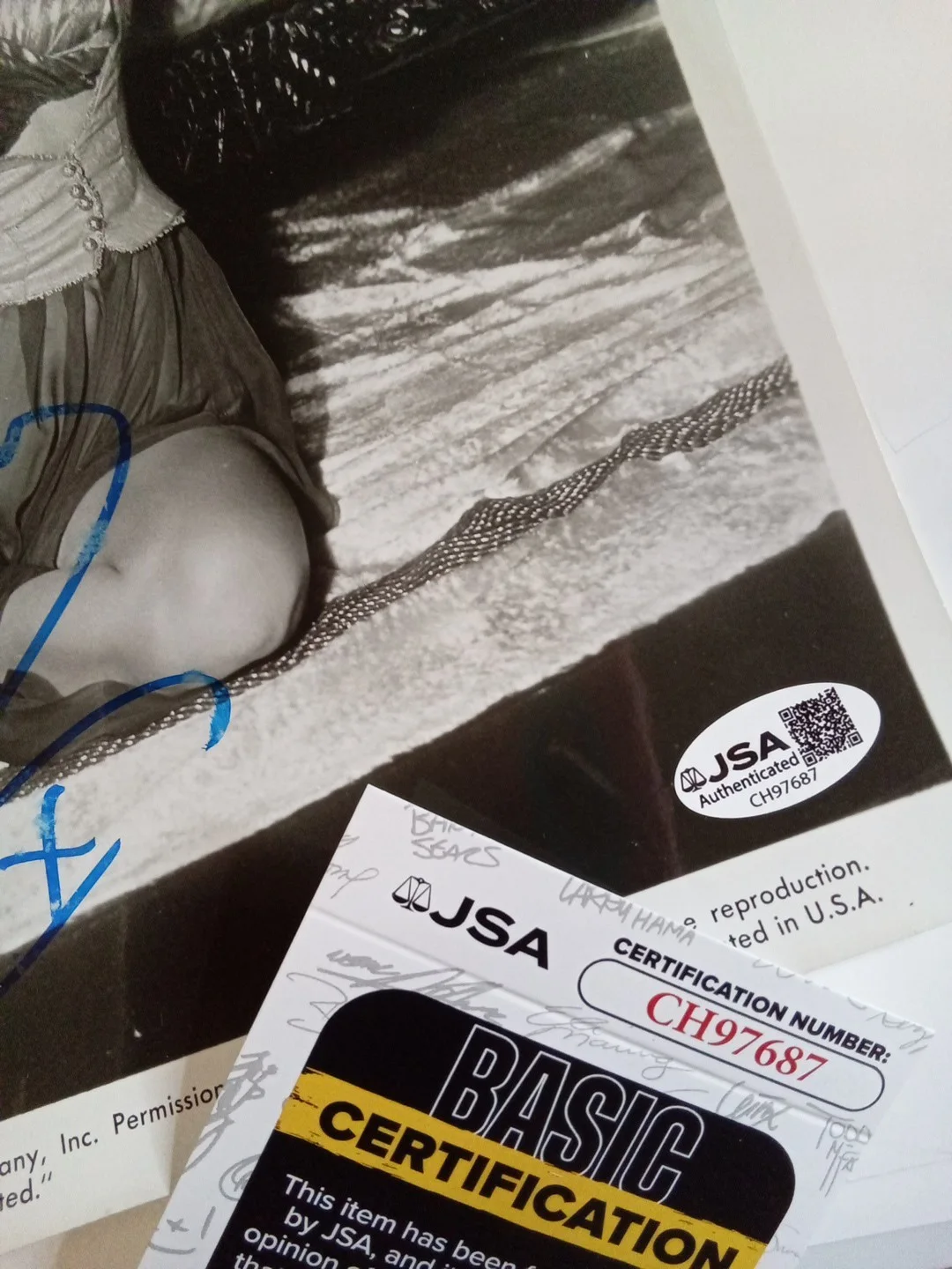 Julia Sanderson Signed 8x10 Photo Sunshine Girl Broadway Star JSA, изображение 3