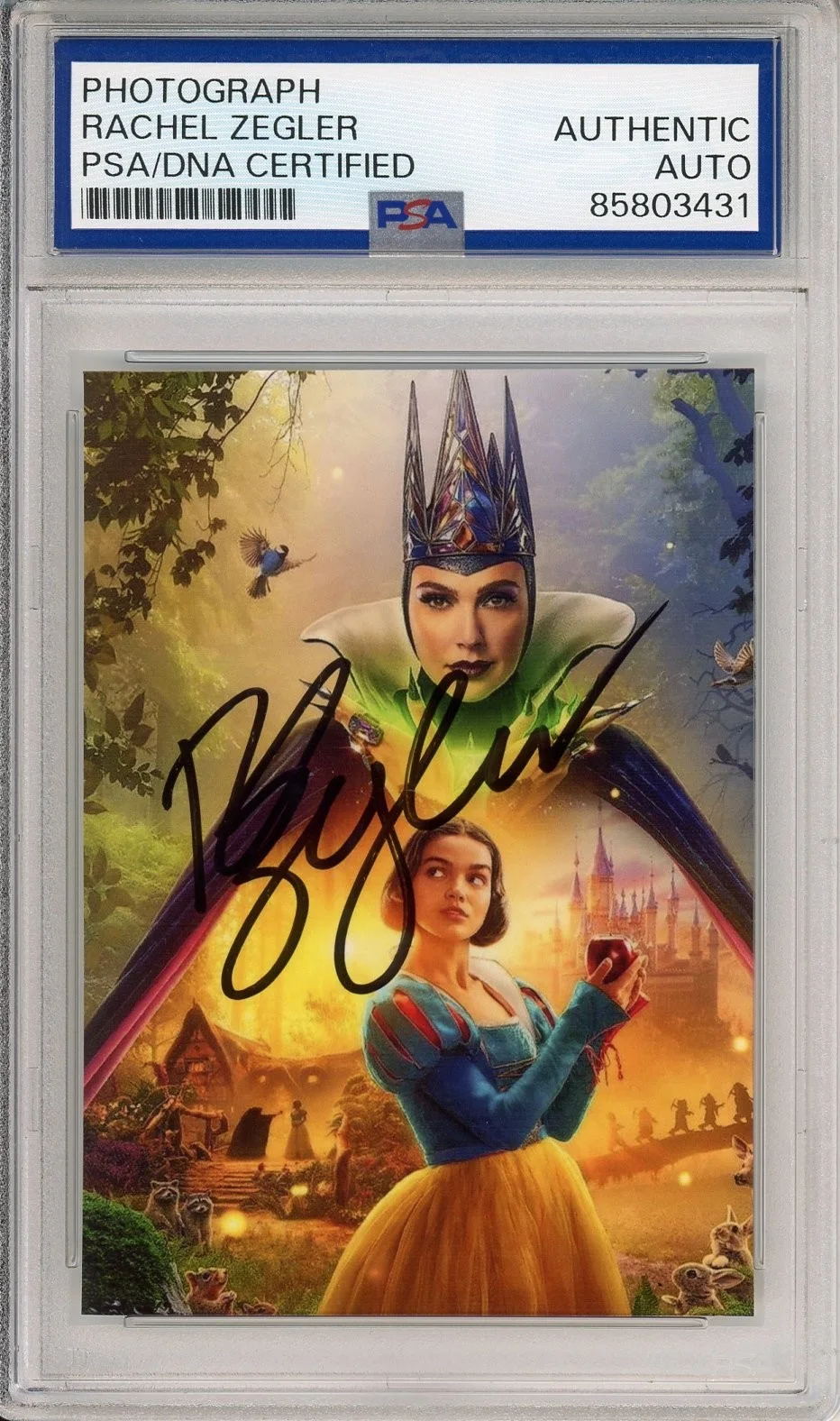 Rachel Zegler — RACHEL ZEGLER SIGNED SNOW WHITE MOVIE PHOTOGRAPH PICTURE PSA DNA COA AUTOGRAPH