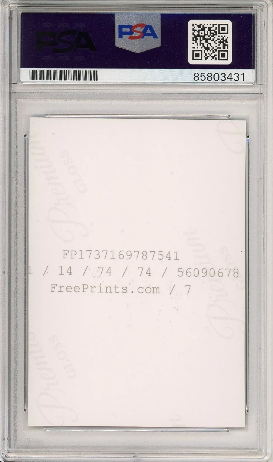 Rachel Zegler — RACHEL ZEGLER SIGNED SNOW WHITE MOVIE PHOTOGRAPH PICTURE PSA DNA COA AUTOGRAPH, изображение 2