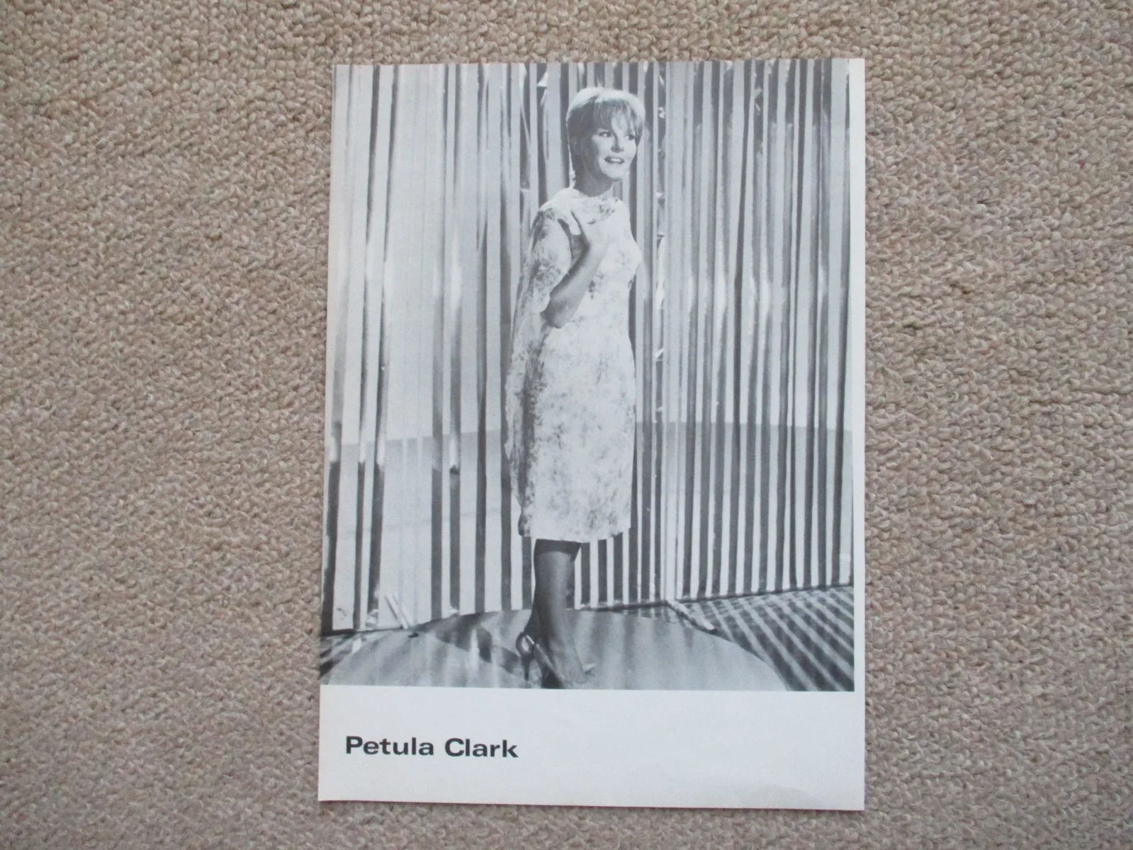 Patsy Ann Noble / Petula Clark - pic from a book - 1965., изображение 2