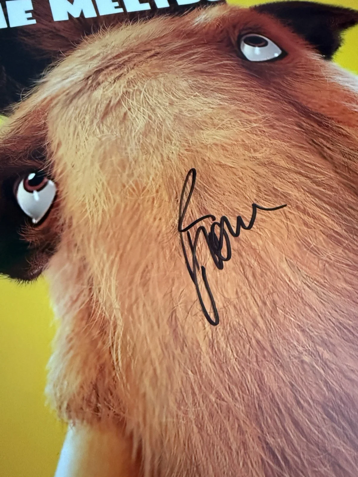 Ray Romano — RAY ROMANO SIGNED AUTOGRAPHED ICE AGE THE MELTDOWN “MANNY” 12X18 PHOTO JSA COA, image 3