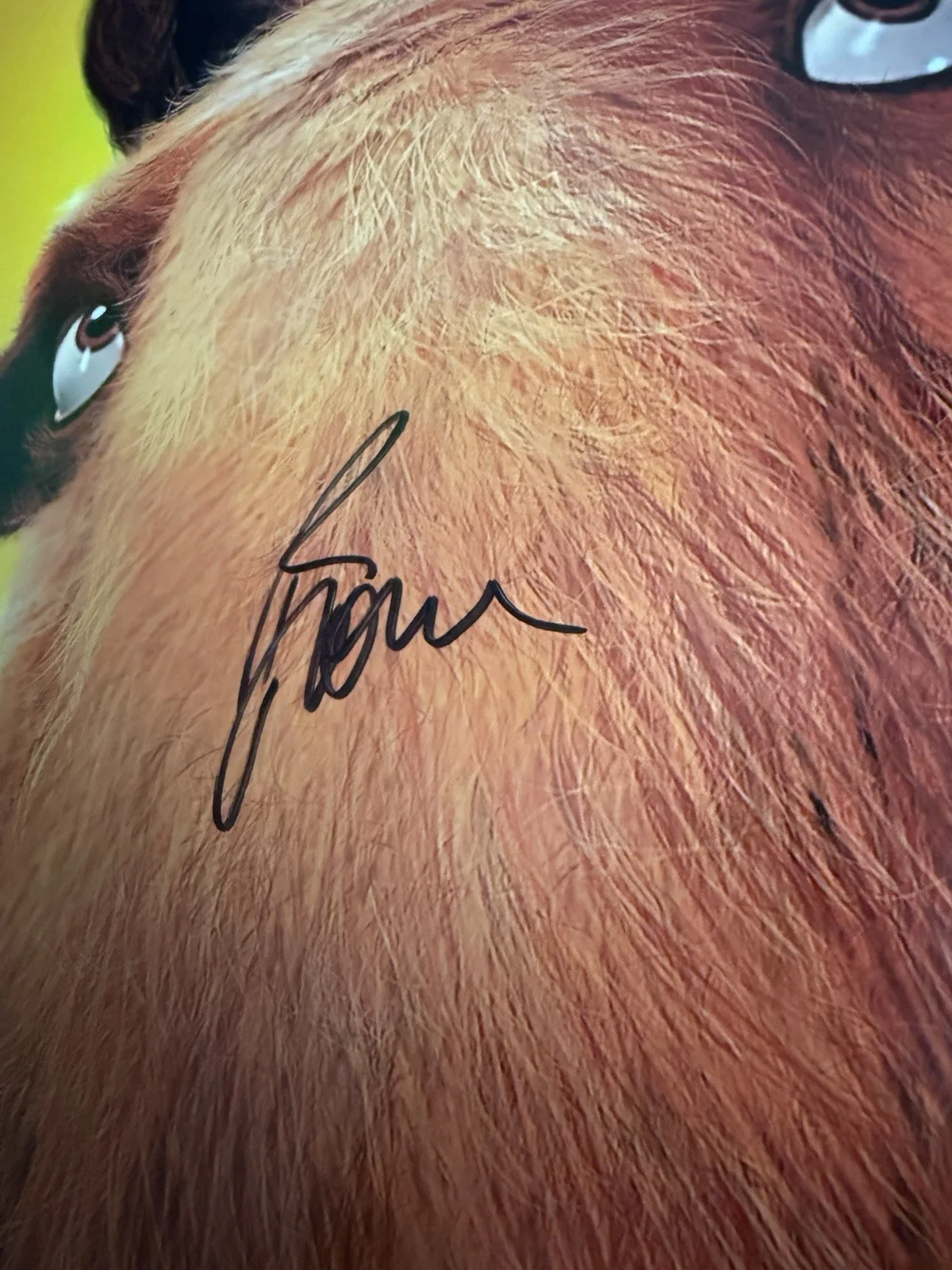 Ray Romano — RAY ROMANO SIGNED AUTOGRAPHED ICE AGE THE MELTDOWN “MANNY” 12X18 PHOTO JSA COA, image 4