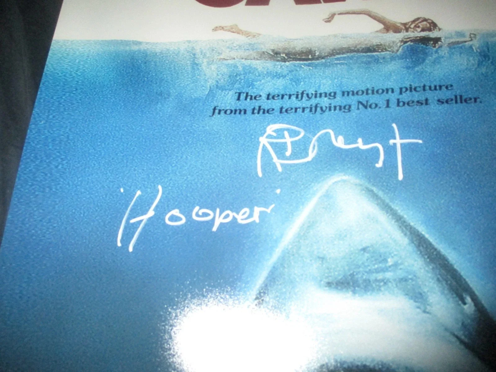 JAWS RICHARD DREYFUSS AUTOGRAPHED/SIGNED 16X20 PHOTO JSA WITNESS CERTIFIED, image 3