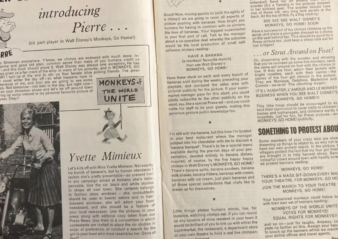 MONKEYS GO HOME 1967 Original Disney Movie Large UK Campaign Press Book Synopsis, изображение 4
