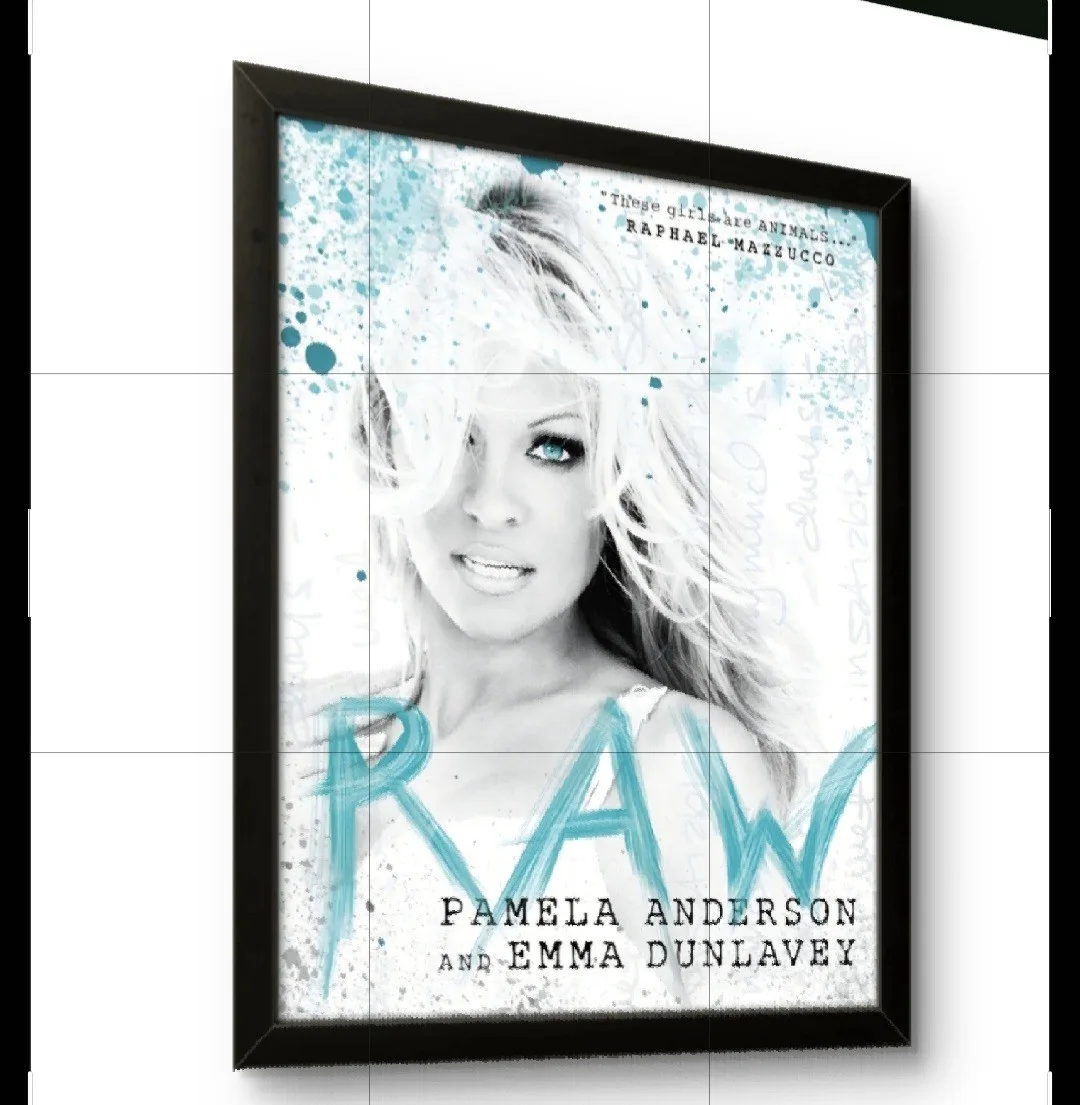 8x10 Framed Original Raw by Pamela Anderson Print, image 2