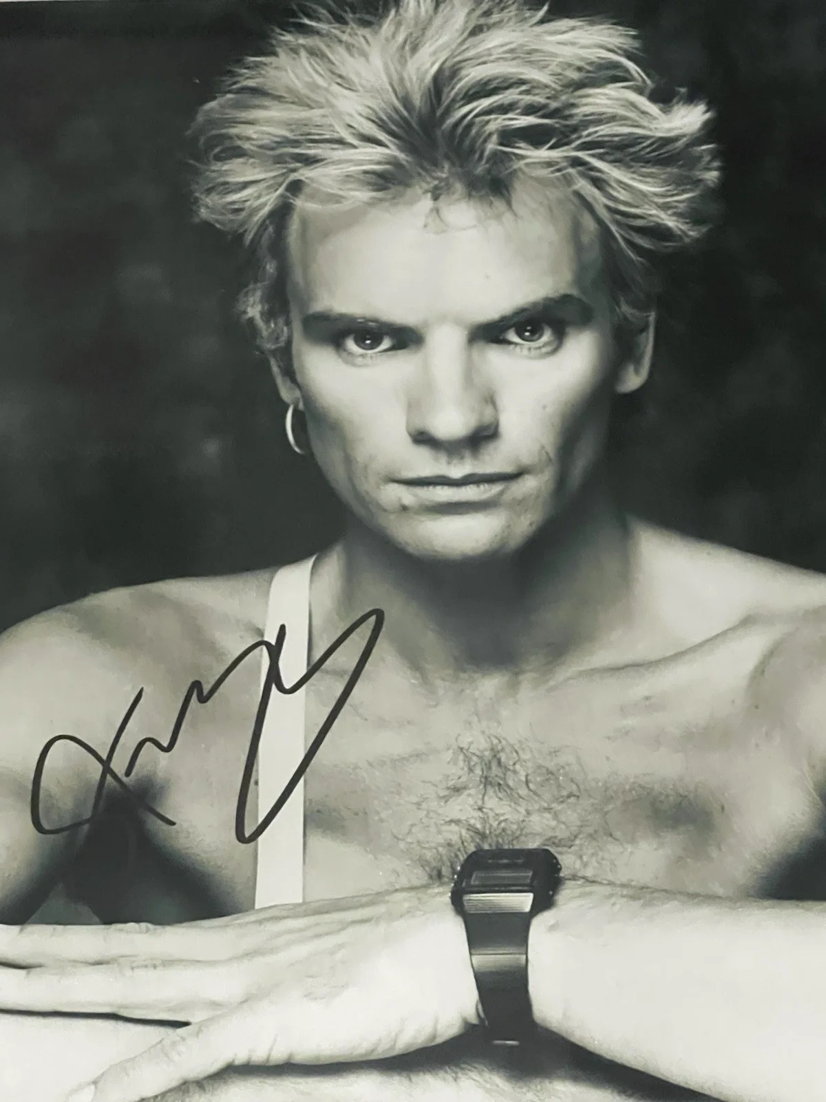 STING THE POLICE Autographed 8 X 11.5 Signed Photo Matted And Framed, изображение 4