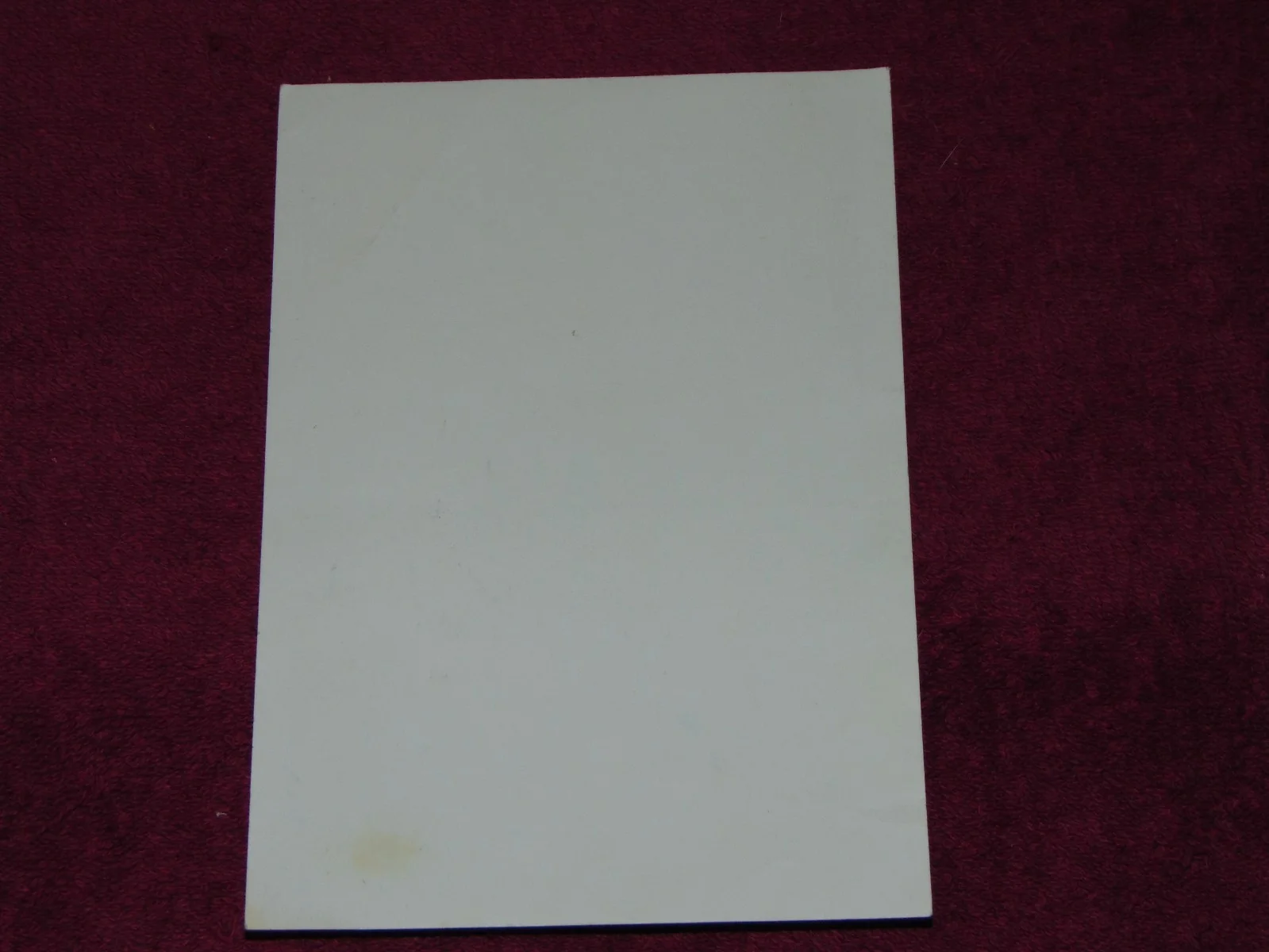 ORIGINAL VINTAGE CIRCA 1960's AUTOGRAPHED 5" X 7" ROBERT FULLER PHOTO, изображение 3