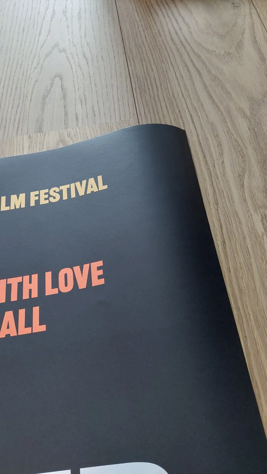 Edinburgh Film Festival 2025 Sacred James Bonds event cinema quad poster. Rare, изображение 2