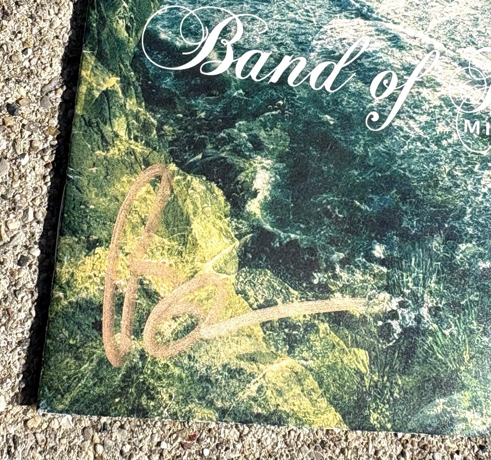 BAND OF HORSES Ben Bridwell SIGNED CD JSA COA, image 2