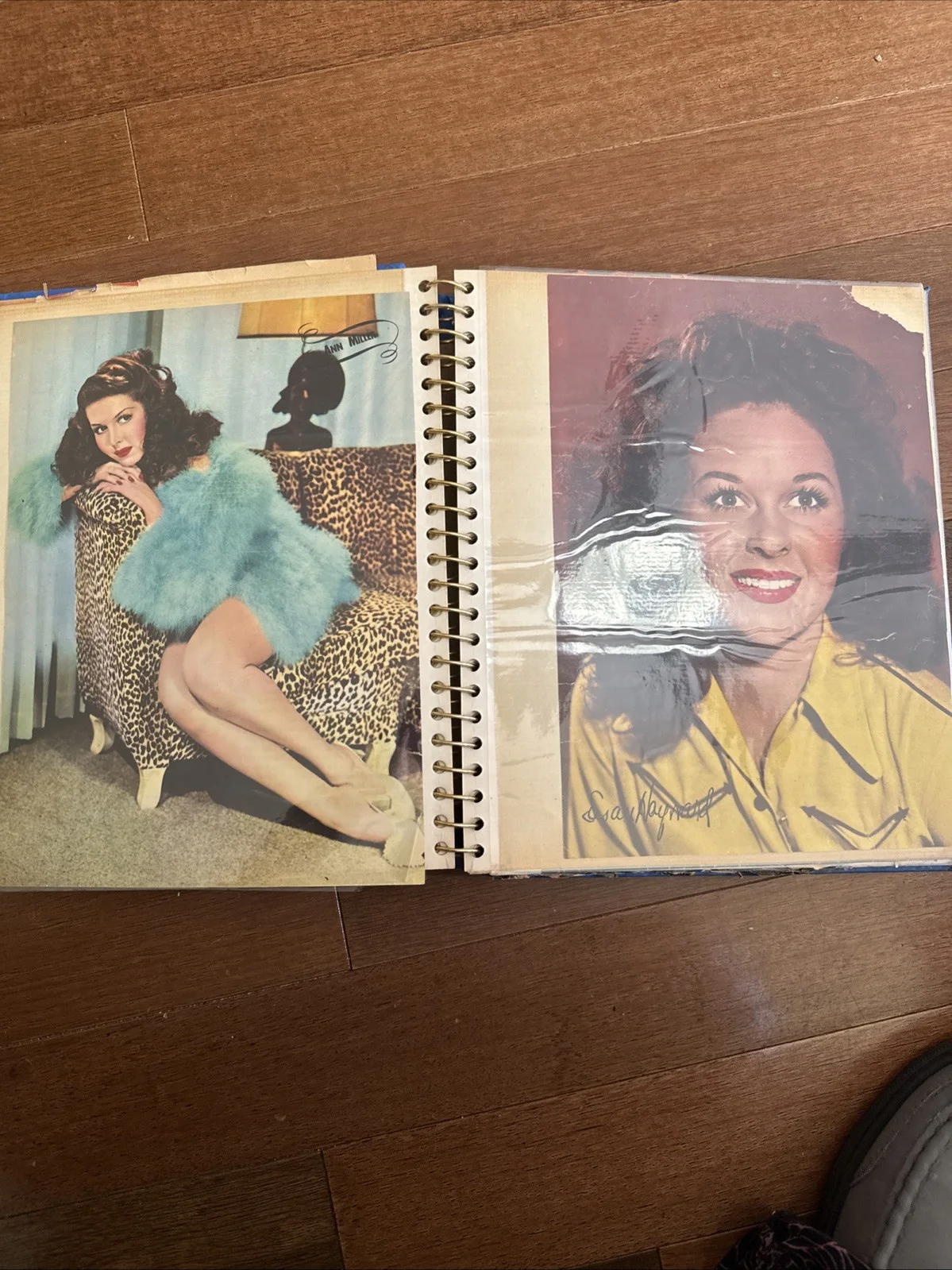 Actors & Actresses 40s 50s Vintage 15 scrapbook pages & magazine pgs collection, изображение 4