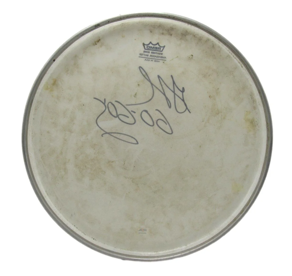 Gina Schock Go-Go's Drummer Signed/Autographed Drum Head PSA/DNA 204918, image 3