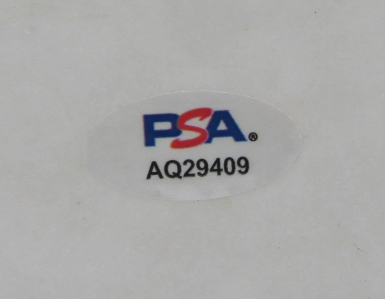 Gina Schock Go-Go's Drummer Signed/Autographed Drum Head PSA/DNA 204918, image 4