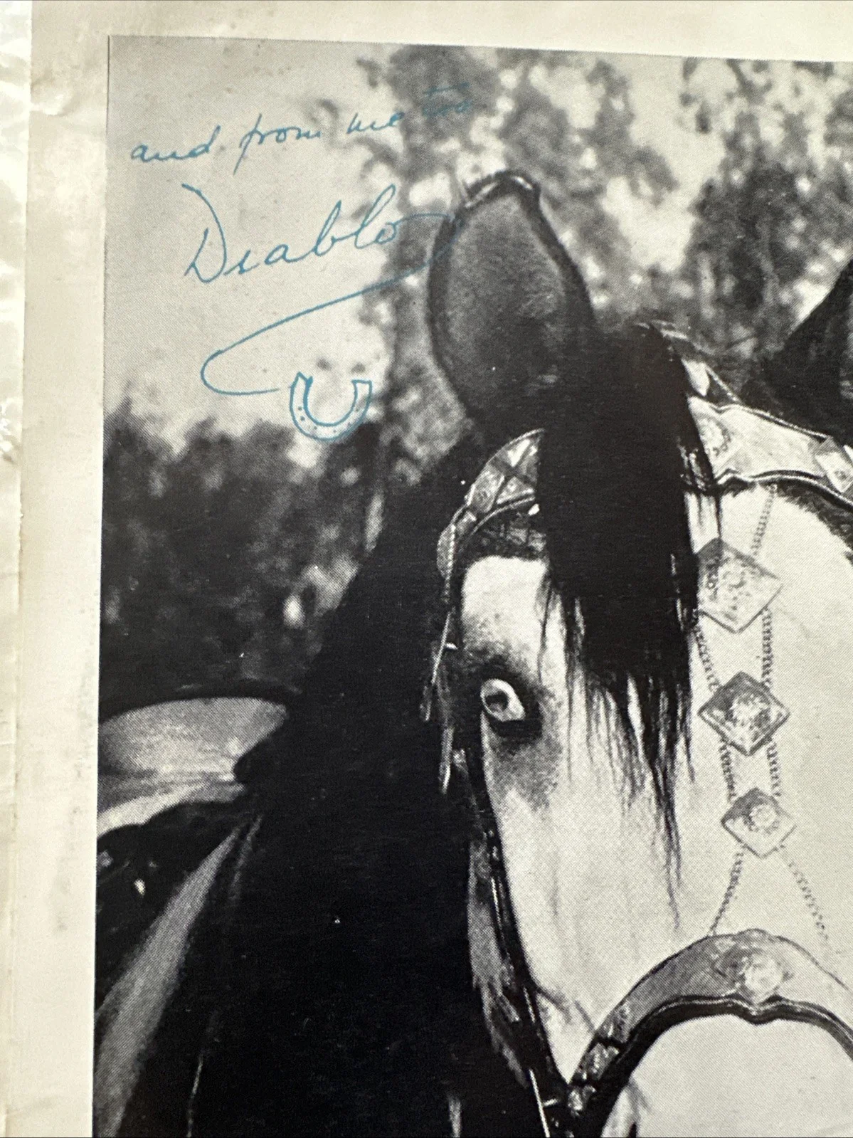 Duncan Renaldo — THE CISCO KID Autographed 8 x 10 Photo - DUNCAN RENALDO - Bank Promotional, изображение 3