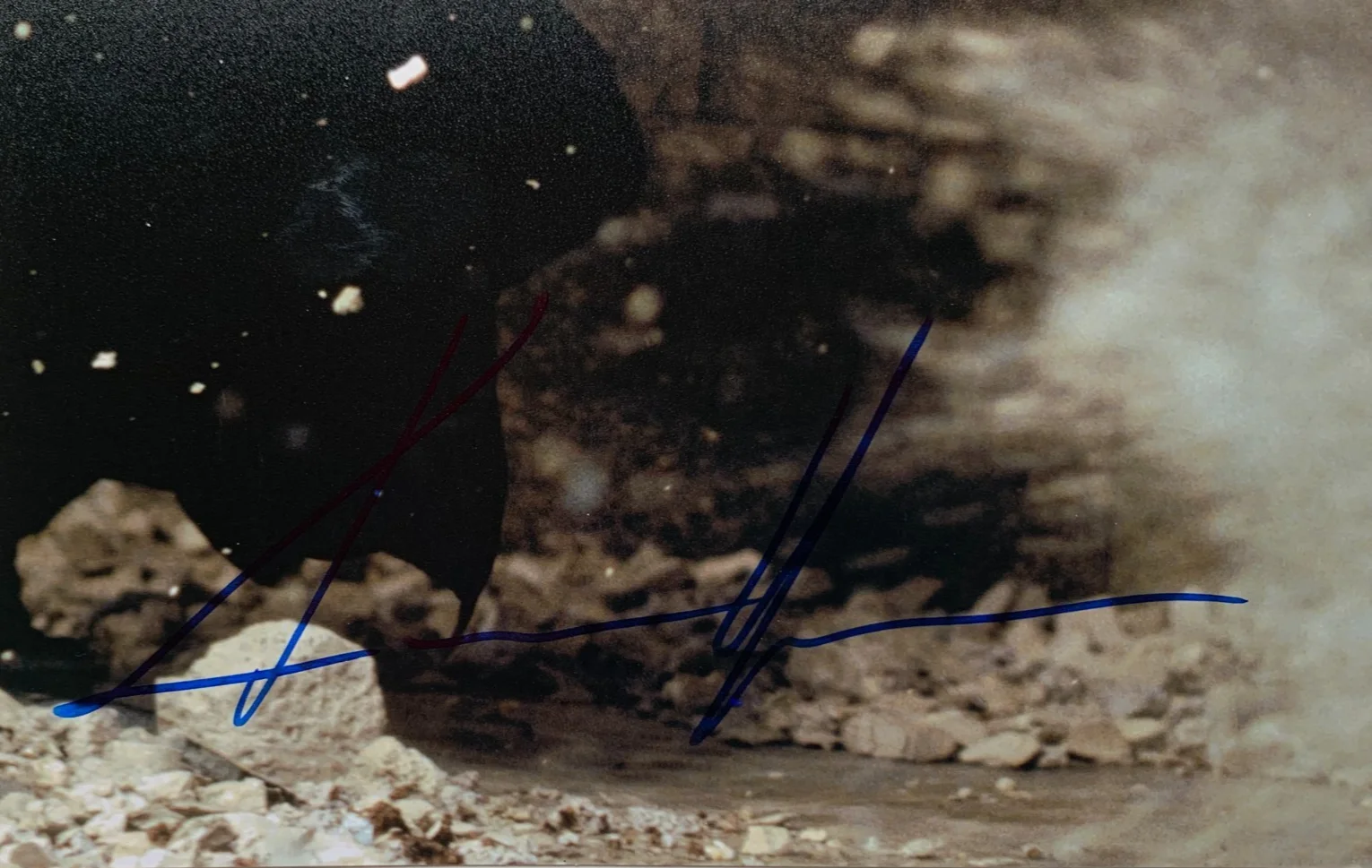 Keanu Reeves — KEANU REEVES signed MATRIX movie photo, with COA, 8x10, изображение 2