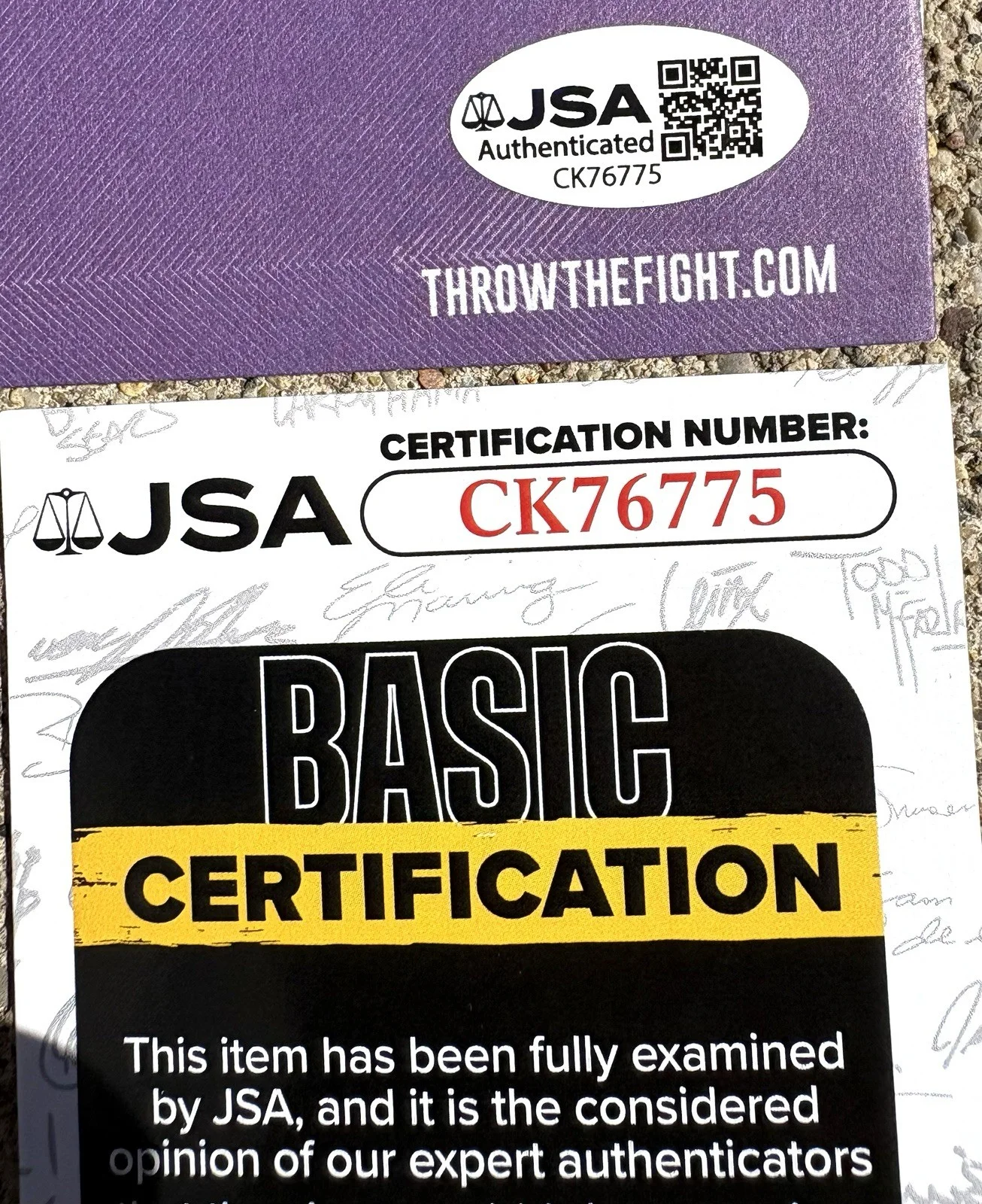 THROW THE FIGHT Band SIGNED CD JSA COA Settle Your Sins, image 2