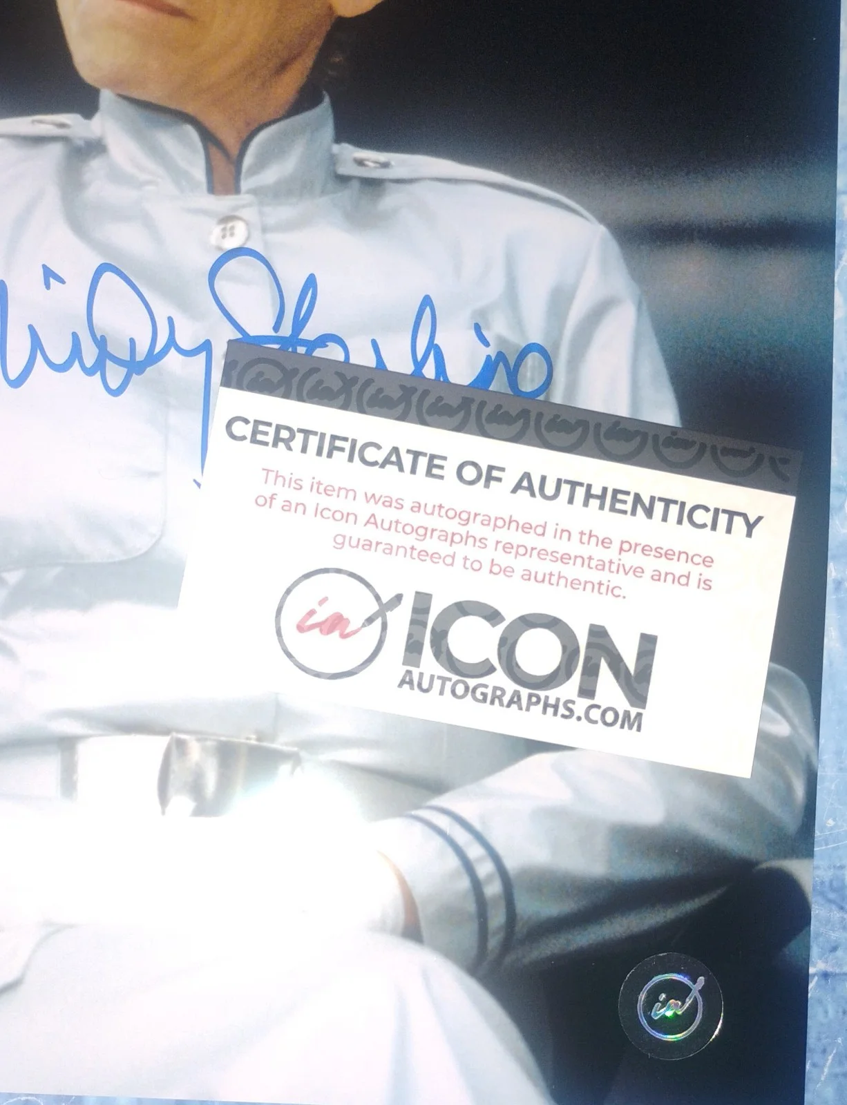 Mindy Sterling Hand Signed Autograph 8x10 Photo COA Austin Powers NO US TARIFFS, image 4