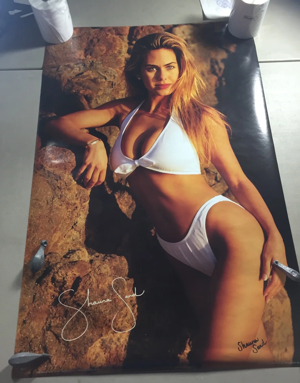 Shauna Sand — 1997 Shauna Sand Autograph Poster Playboy Playmate Benchwarmer, изображение 2