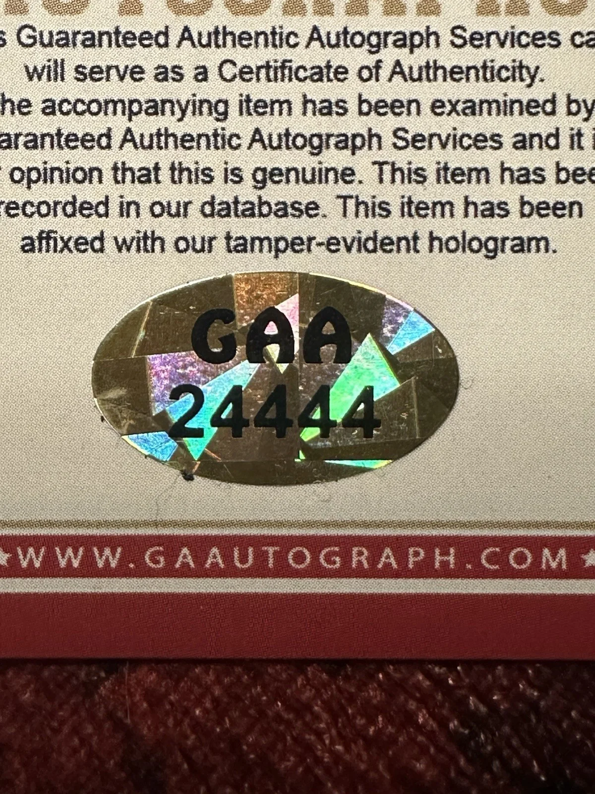 Dwayne The Rock Johnson Signed 8x10 Autographed Photo On Engraved Plaque GAA COA, изображение 4