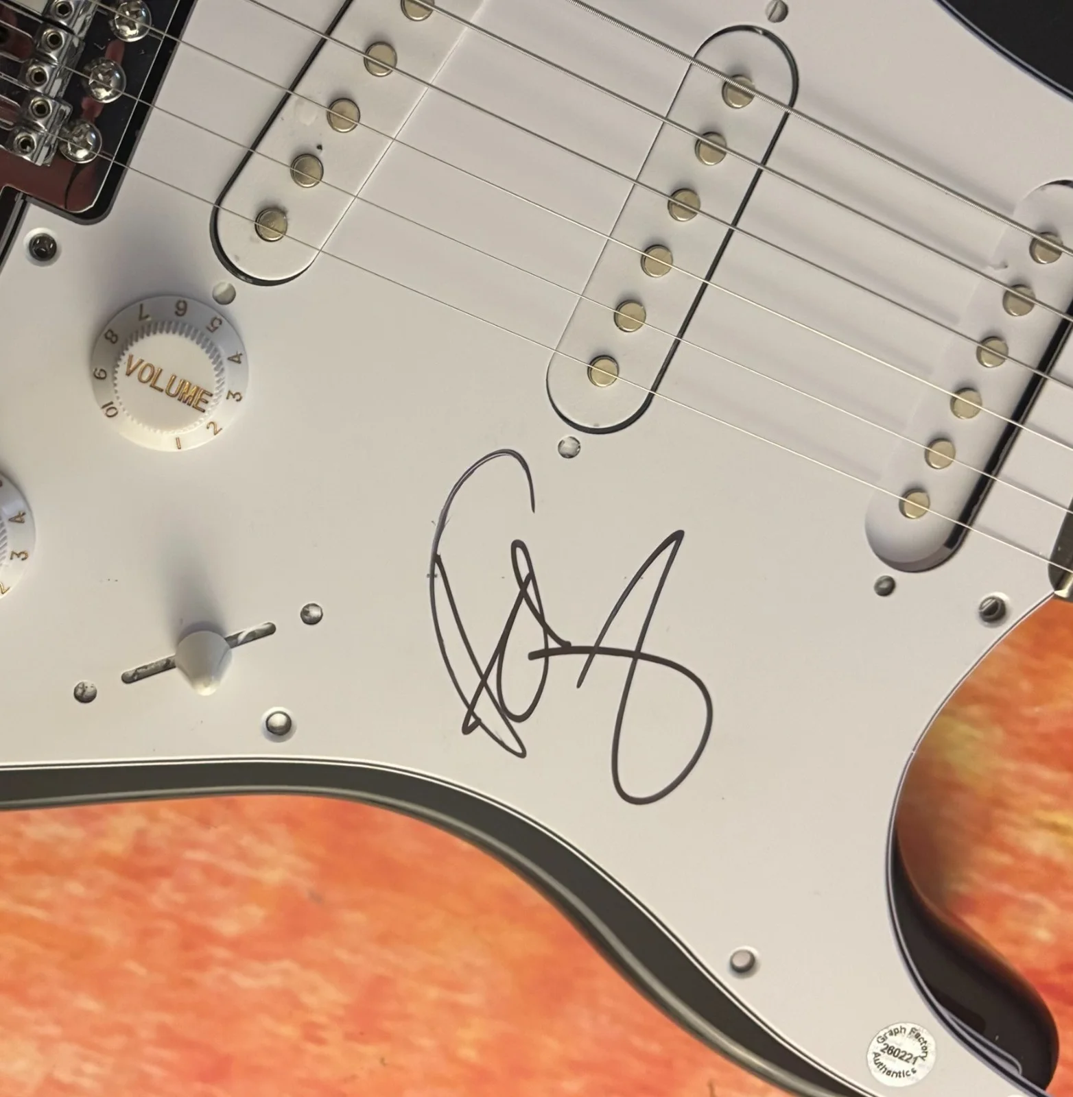 GFA Fitz and the Tantrums * MICHAEL FITZPATRICK * Signed Electric Guitar COA, изображение 5