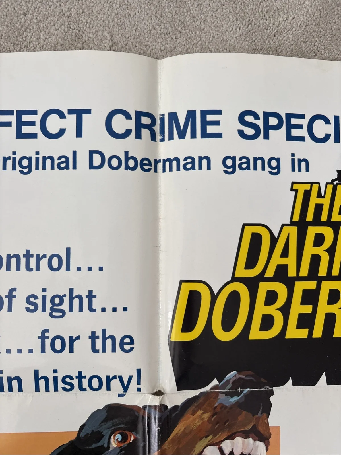 The Daring Dobermans (1973) Original US One Sheet Movie Poster, image 3