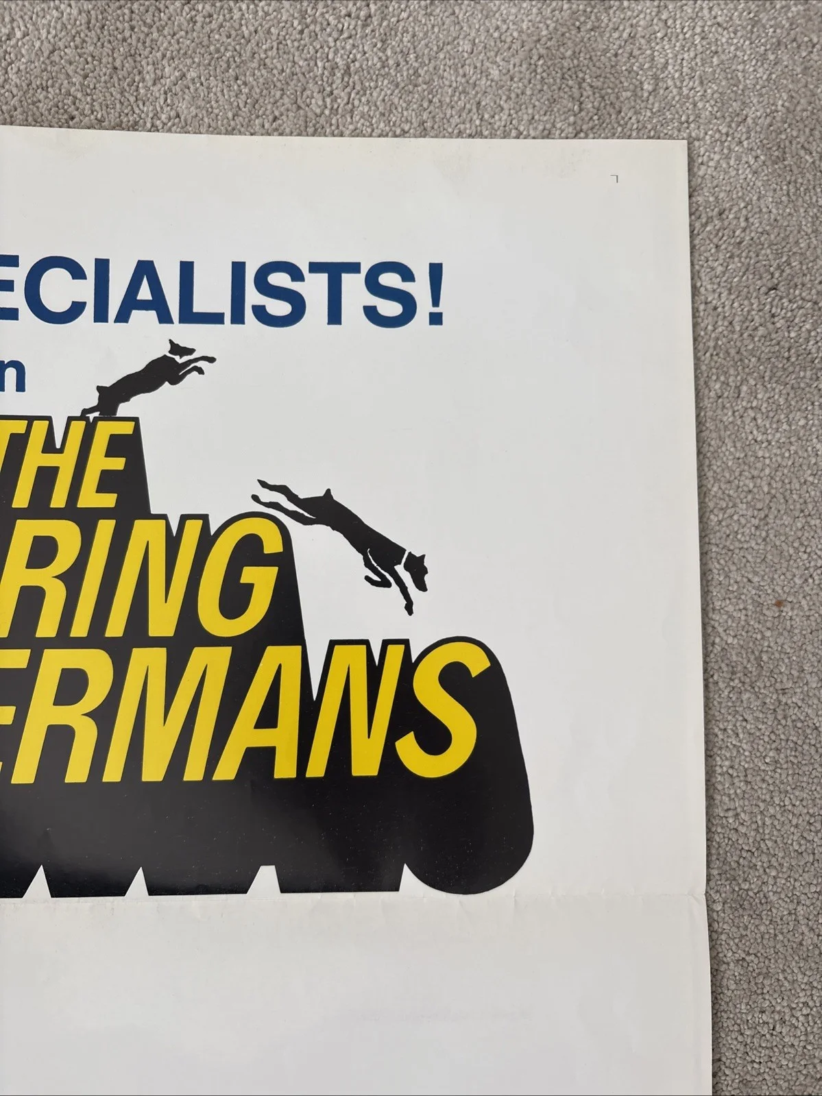 The Daring Dobermans (1973) Original US One Sheet Movie Poster, image 4
