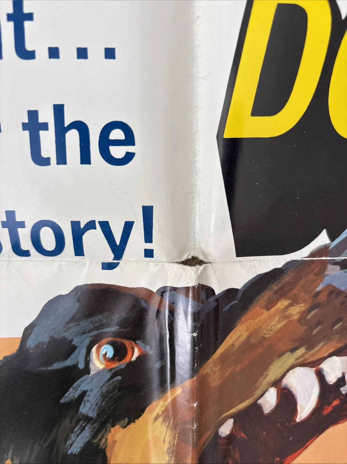 The Daring Dobermans (1973) Original US One Sheet Movie Poster, image 5