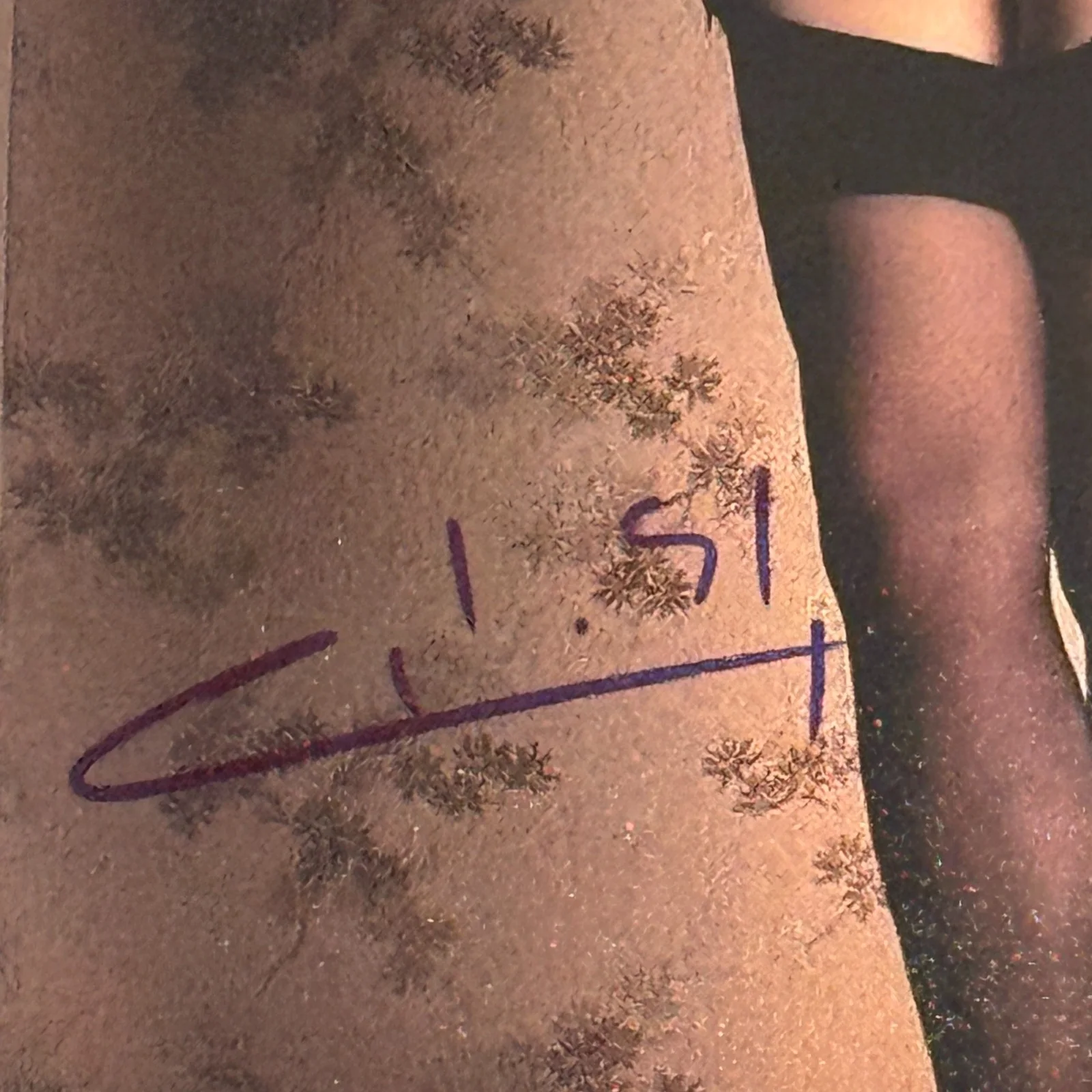 Billie Eilish Signed Autographed 8x10 Photograph Auto Photo Authentic with COA, image 3