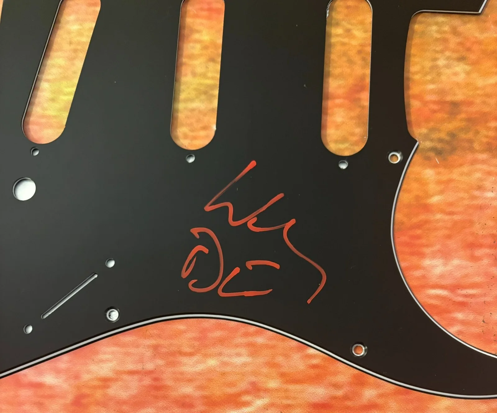 GFA Ronnie James Dio Wife * WENDY DIO * Signed Electric Pickguard PROOF COA, изображение 3