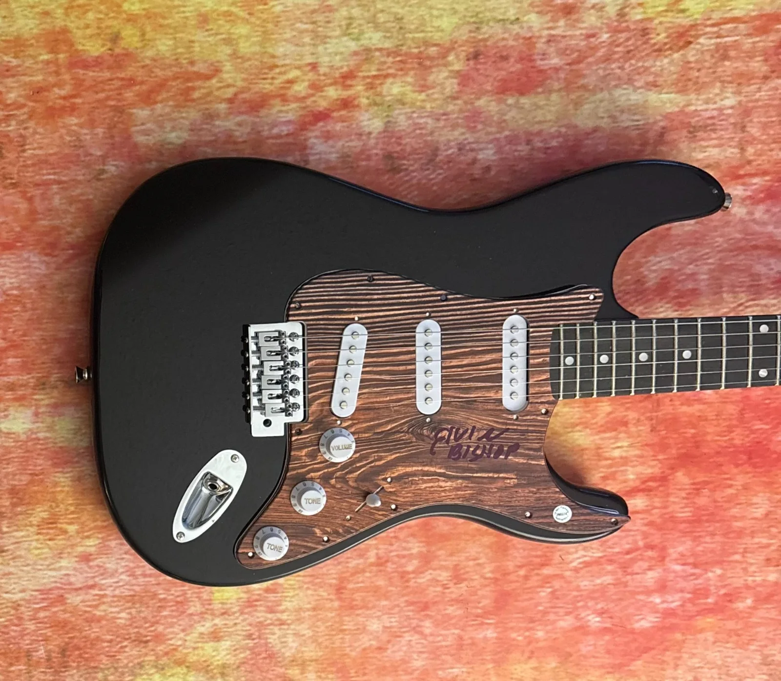 GFA Struttin' My Stuff Star * ELVIN BISHOP * Signed Electric Guitar PROOF COA, image 2
