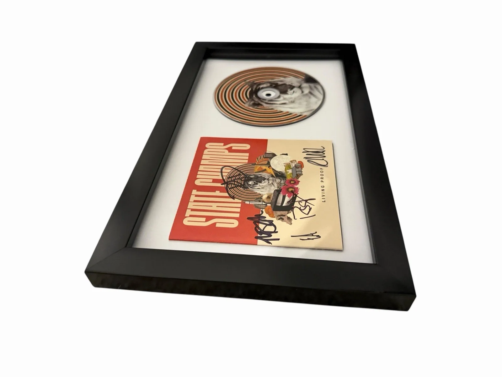 STATE CHAMPS SIGNED AUTOGRAPH x5 LIVING PROOF FRAMED & MATTED CD ALBUM DISPLAY, image 2