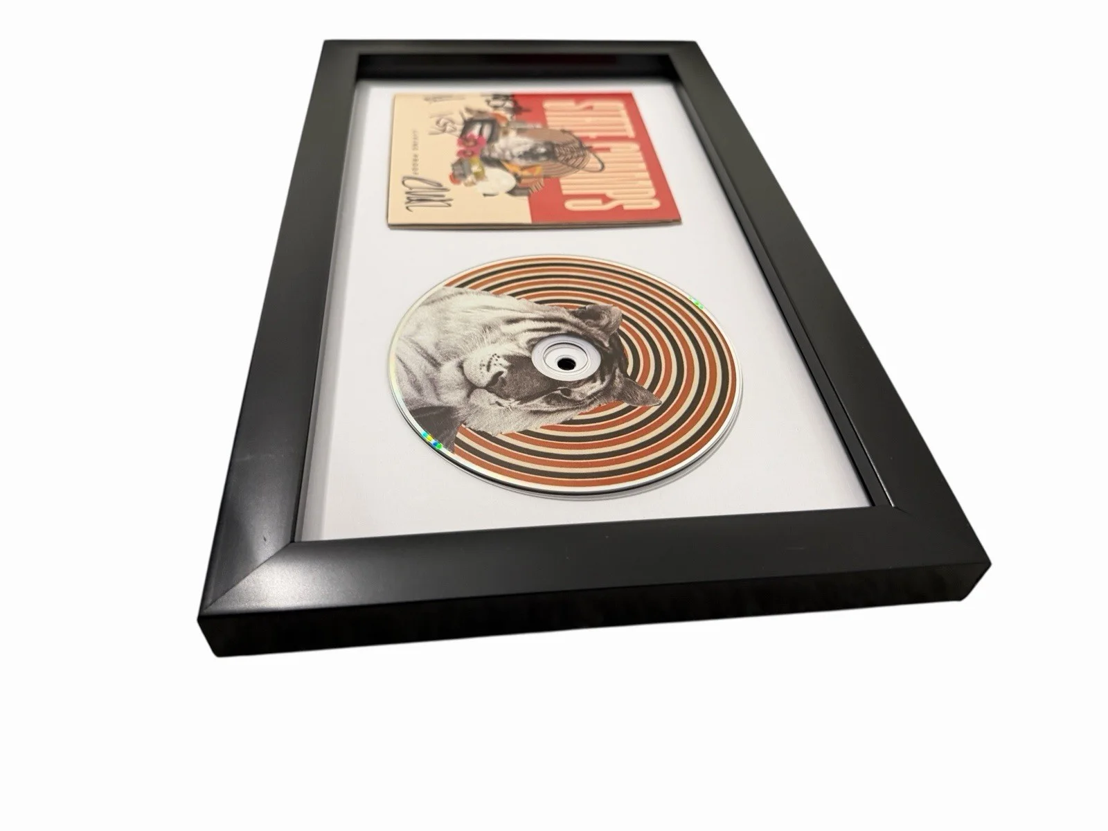 STATE CHAMPS SIGNED AUTOGRAPH x5 LIVING PROOF FRAMED & MATTED CD ALBUM DISPLAY, image 3