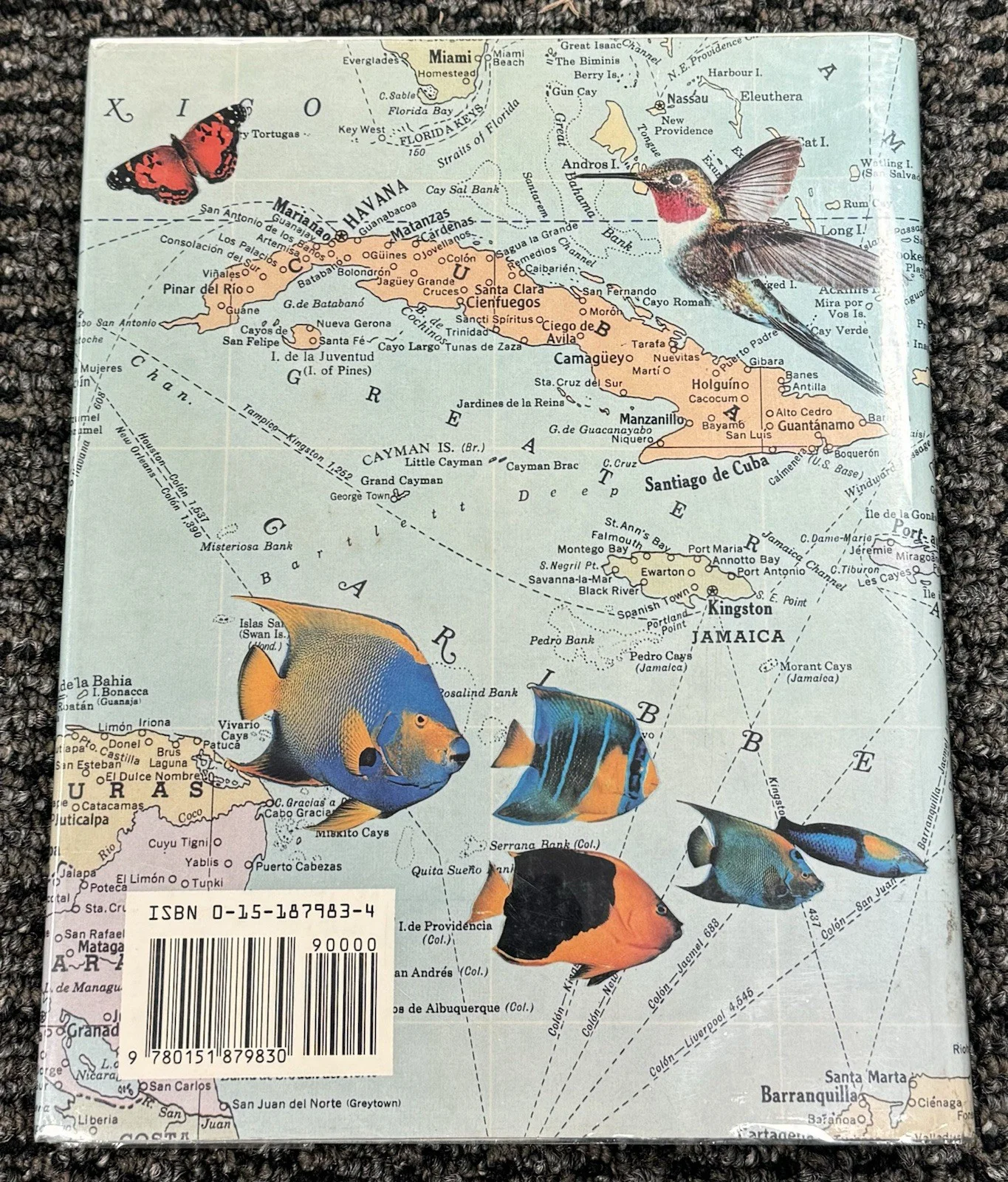 Jimmy Buffett Signed Autograph Tales From Margaritaville 1st Ed Book PSA/DNA, изображение 4