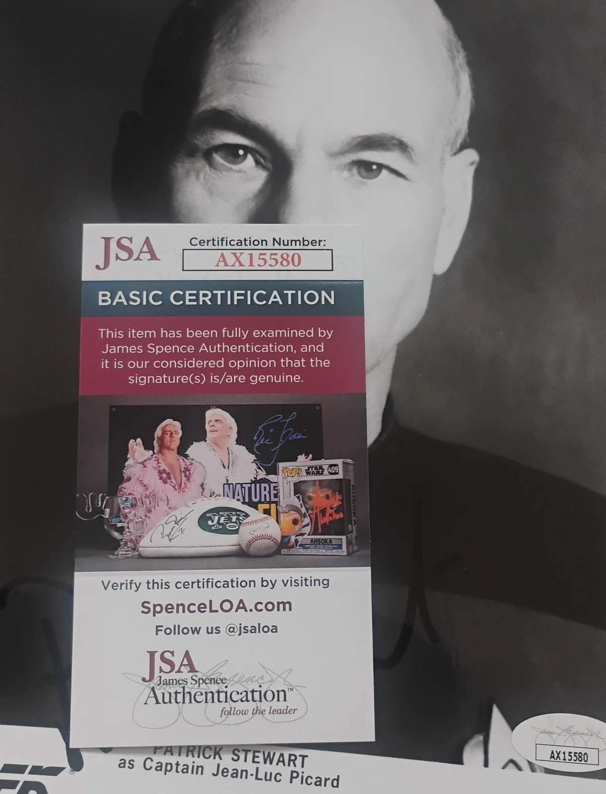 Patrick Stewart Hand Signed Autograph 8x10 Photo JSA COA Star Trek, image 3