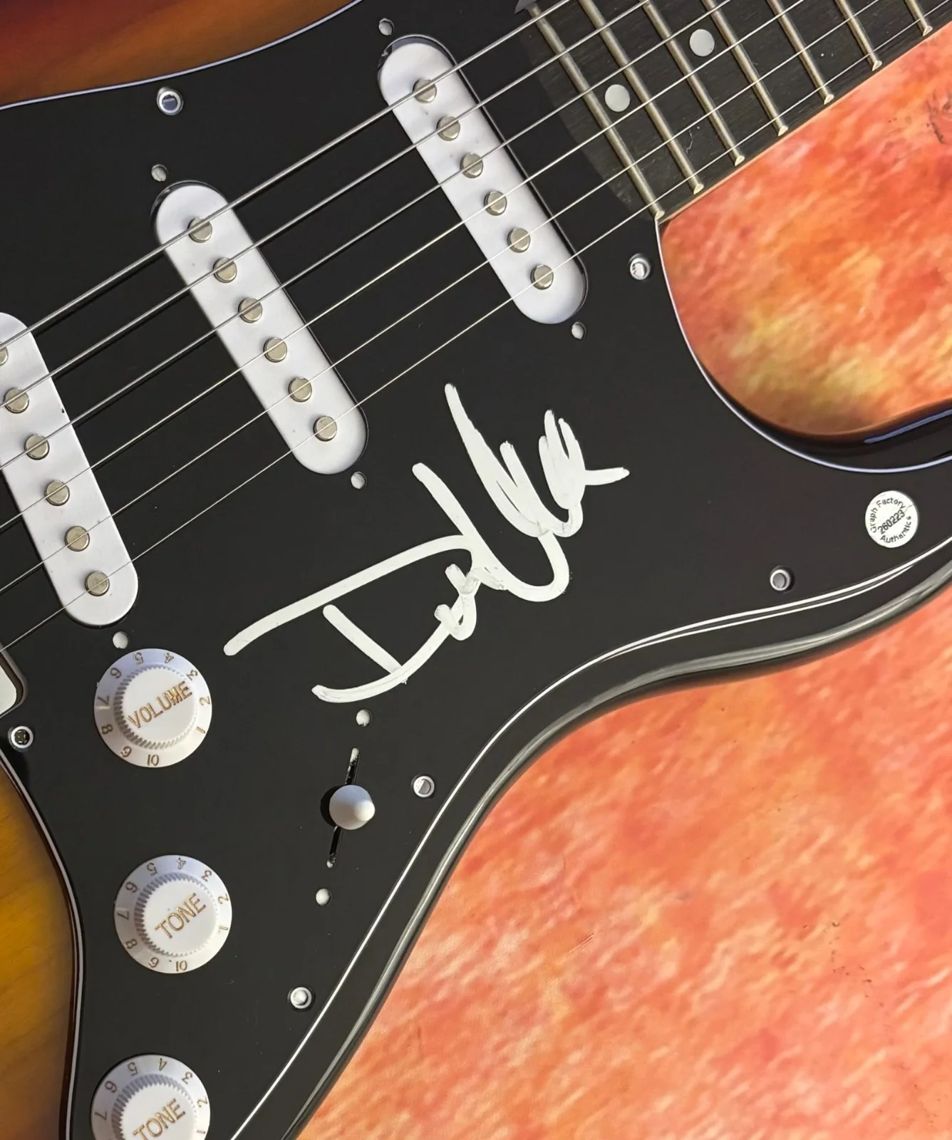 GFA Enuff Z'Nuff Singer * DONNIE VIE * Signed Electric Guitar COA, image 5