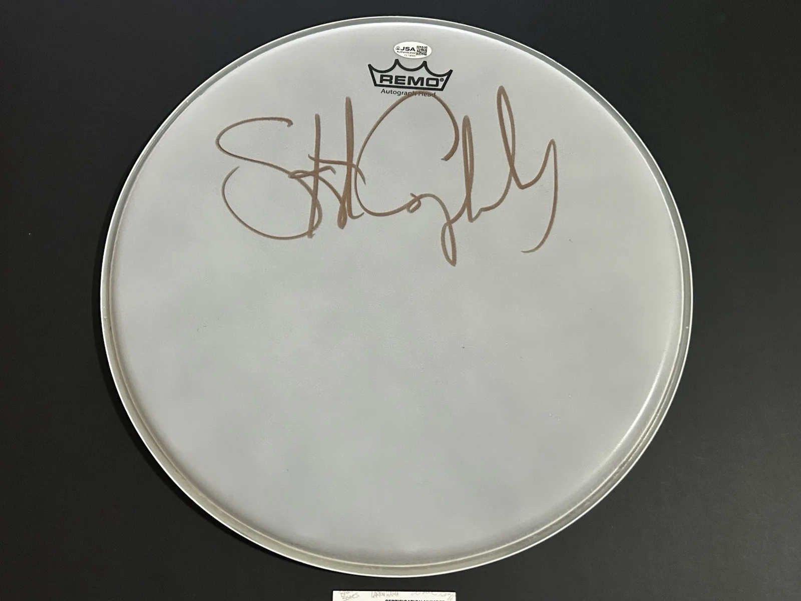 STEWART COPELAND Autograph Signed 14" REMO Drumhead THE POLICE **JSA COA**, изображение 2