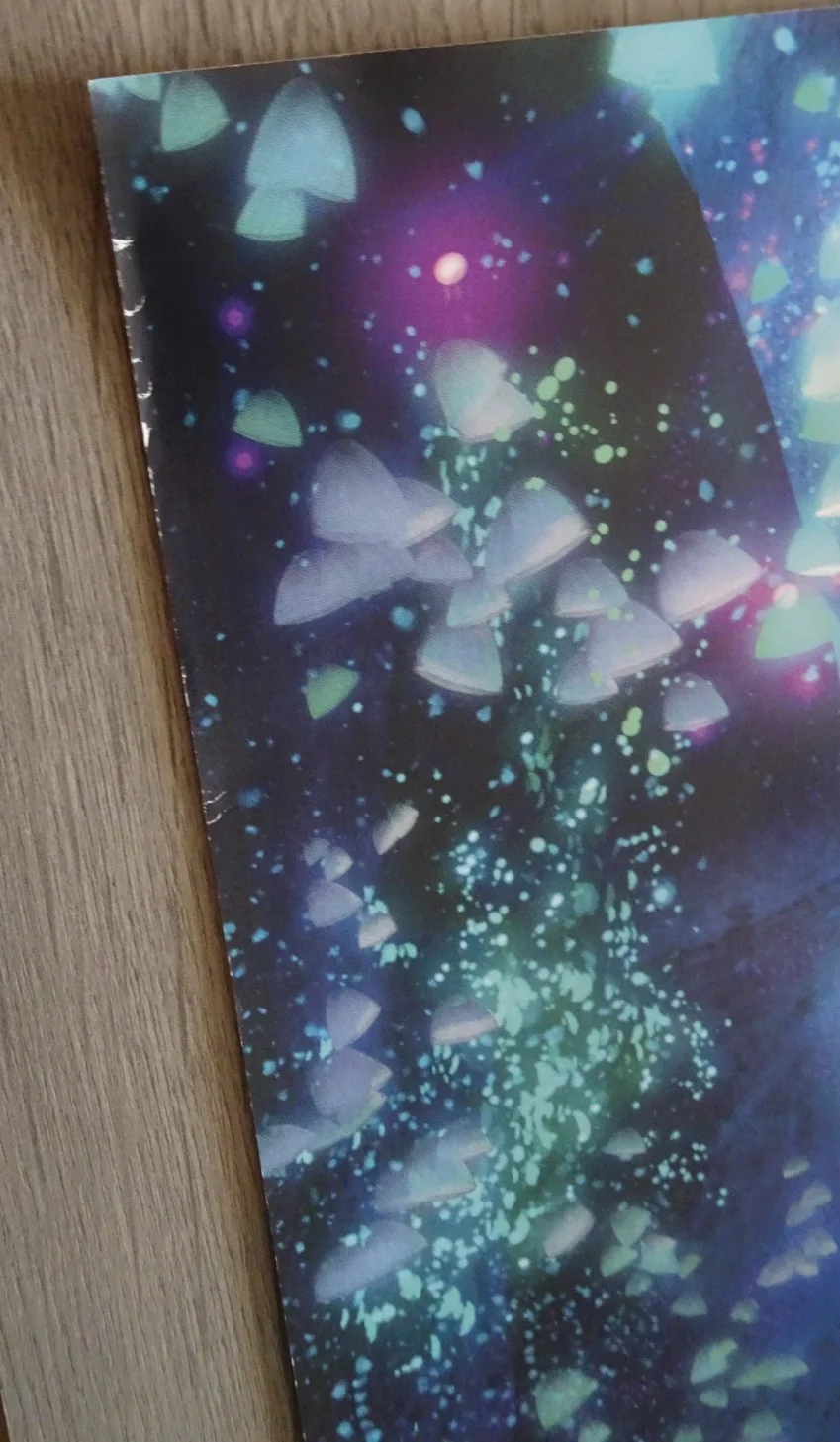 How to Train Your Dragon Poster The Hidden World Cinema One Sheet, изображение 4