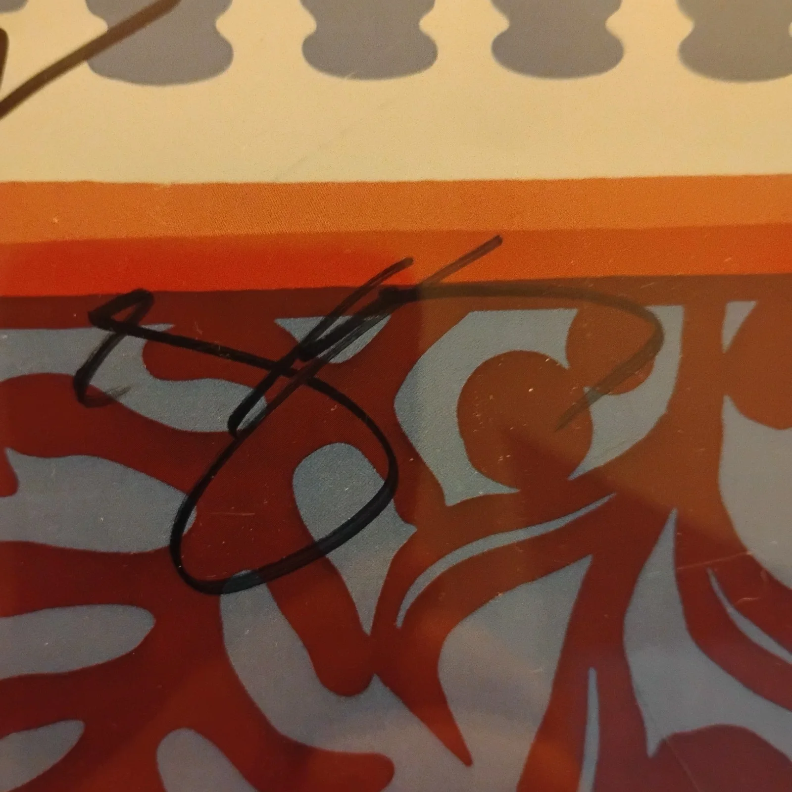 Young The Giant Autographed Poster 12"x15", image 5
