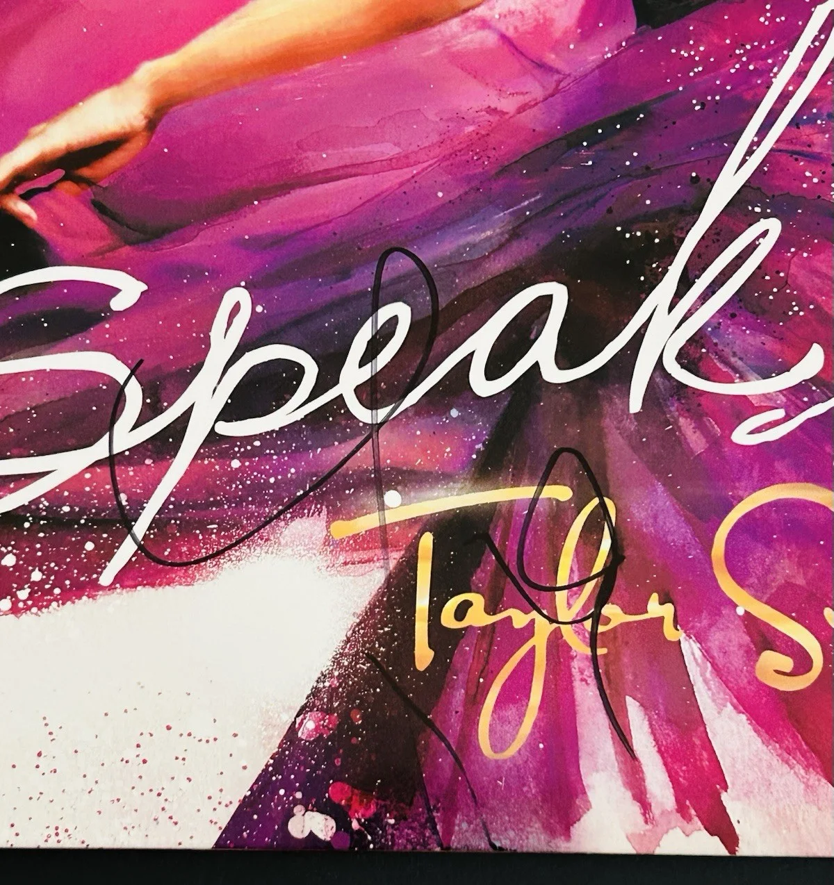 TAYLOR SWIFT Speak Now ALBUM COVER SIGNED/AUTOGRAPHED VINYL 2 LP **JSA LETTER**, image 5