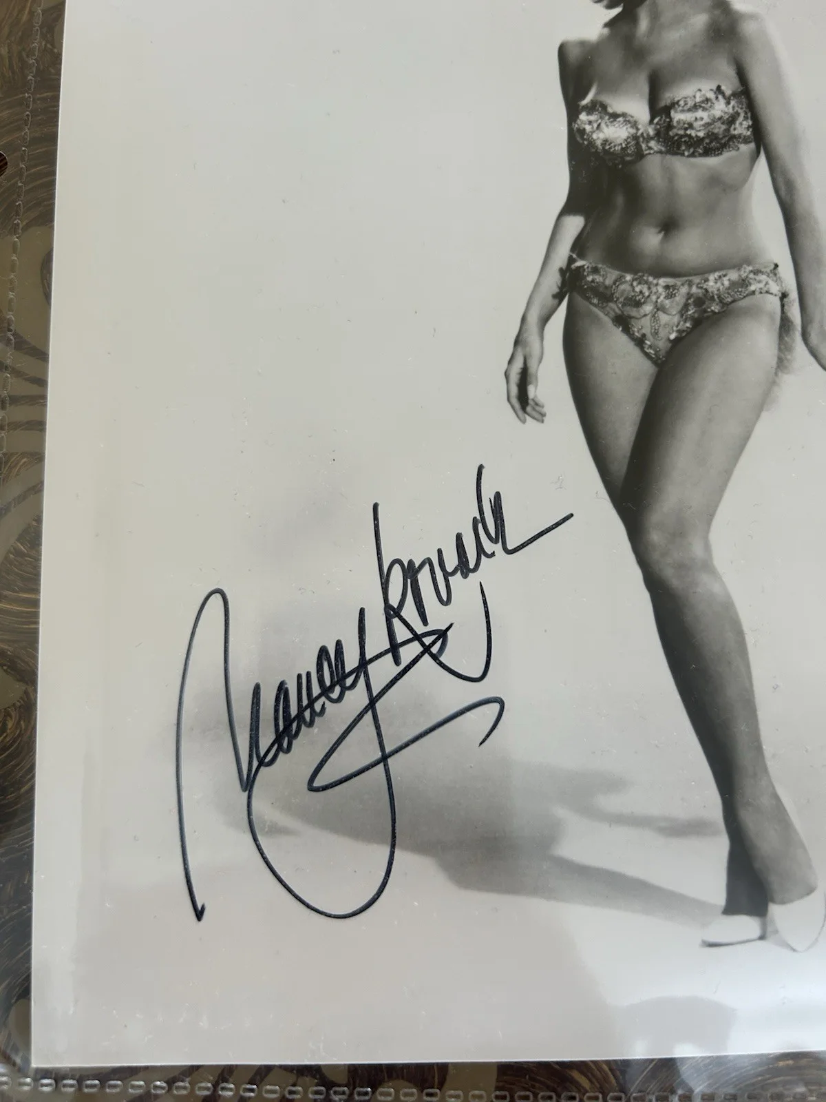 Nancy Kovack — Nancy Kovack Hot! autographed signed classic sexy 8x10 photo COA, изображение 3